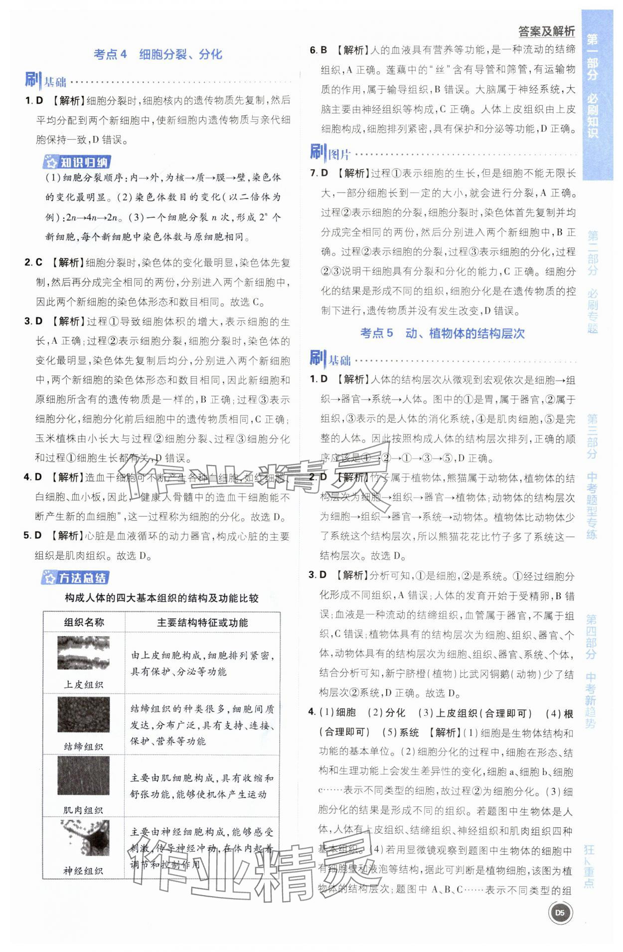 2024年中考必刷题开明出版社生物&nbsp;第5页