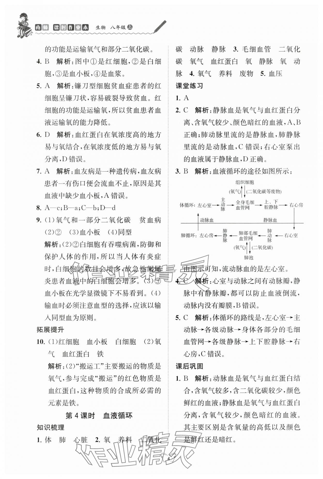 2024年創(chuàng)新課時作業(yè)本江蘇人民出版社八年級生物上冊蘇科版 第4頁