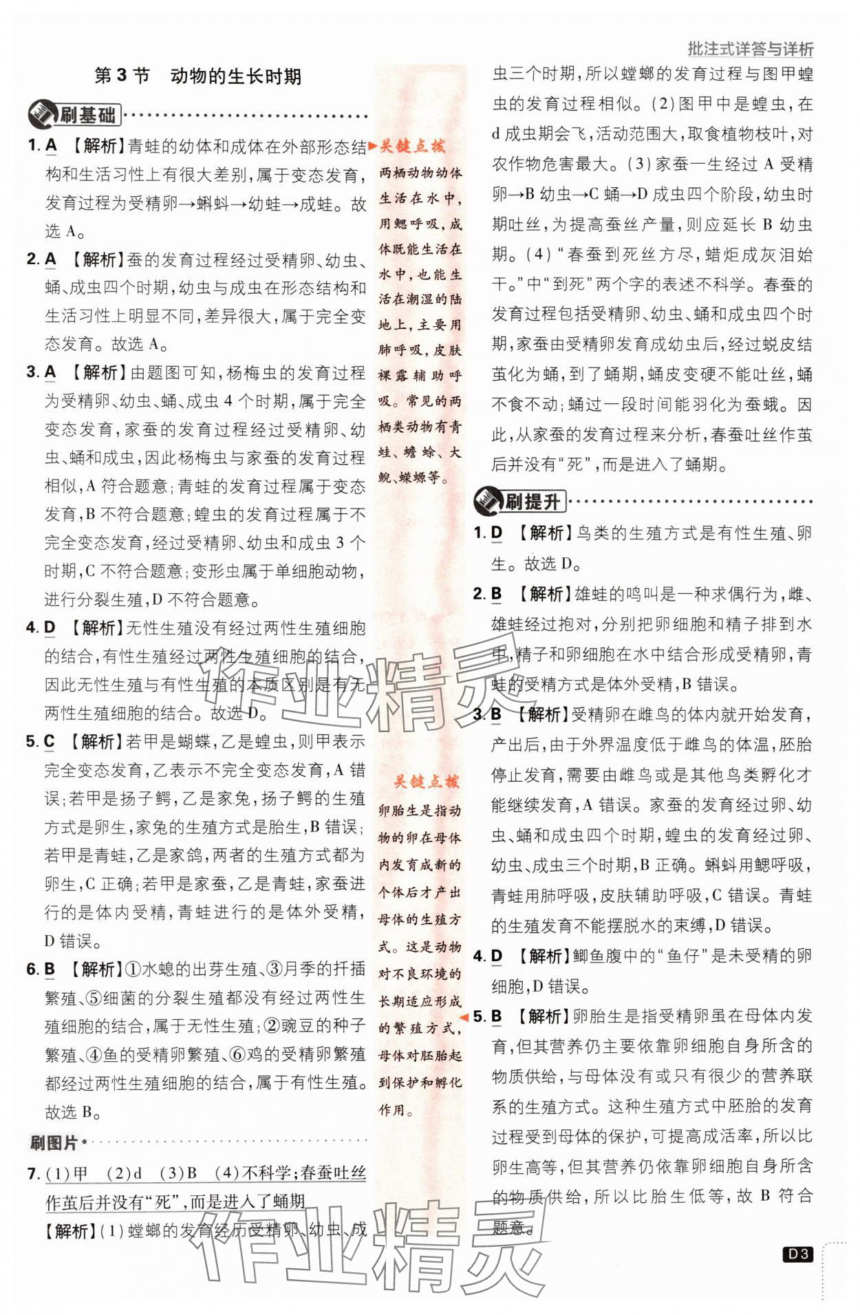 2024年初中必刷題七年級科學(xué)下冊浙教版浙江專版 第3頁