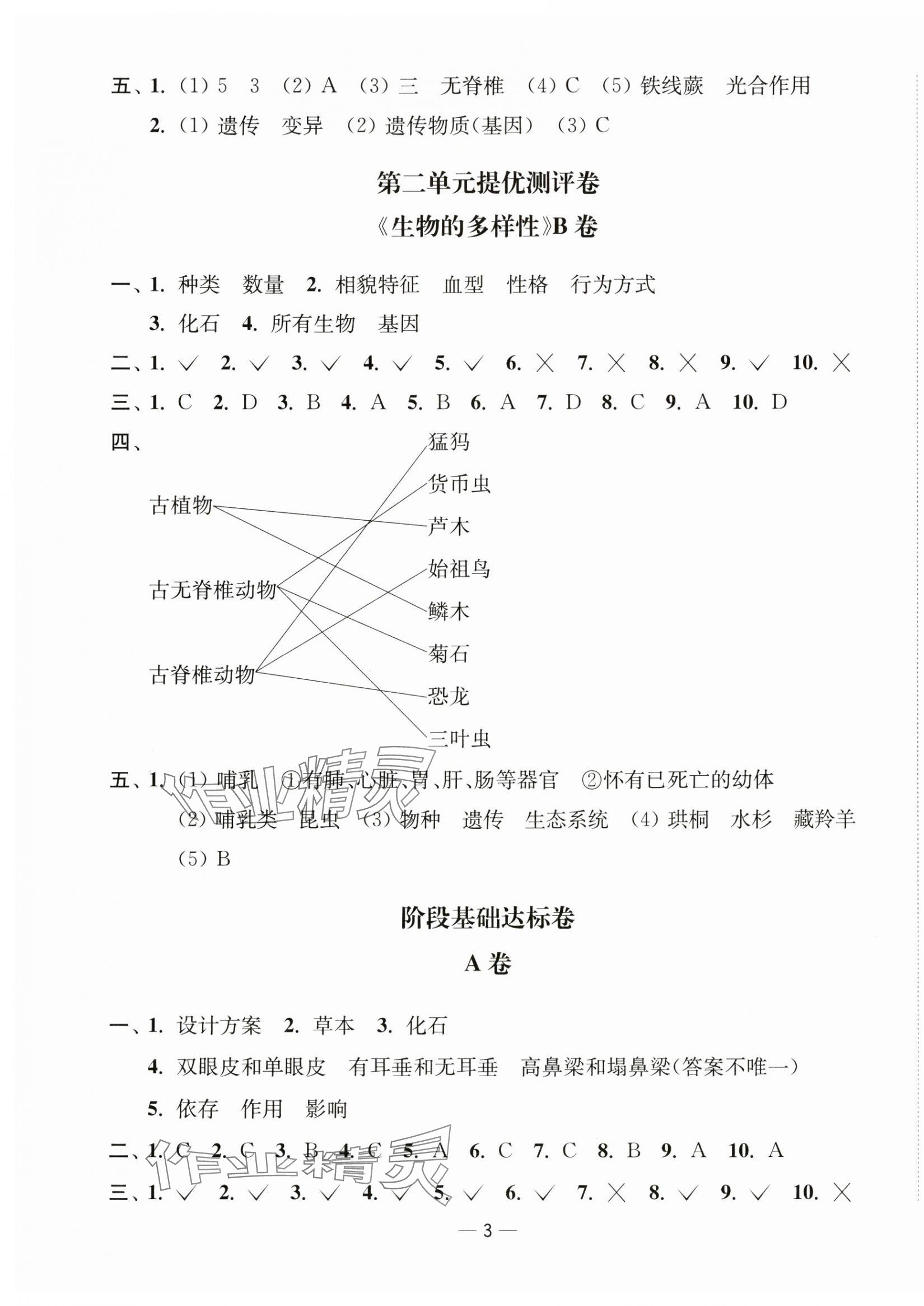 2025年江蘇好卷六年級科學下冊教科版 第3頁