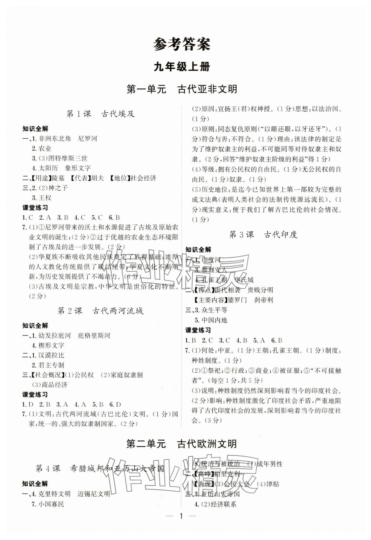 2023年考點專練九年級歷史全一冊人教版深圳專版 第1頁
