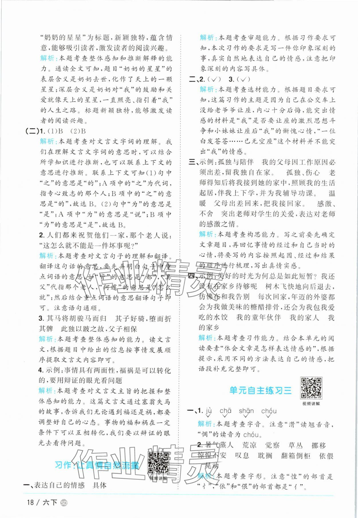 2025年阳光同学课时优化作业六年级语文下册人教版菏泽专版 参考答案第18页