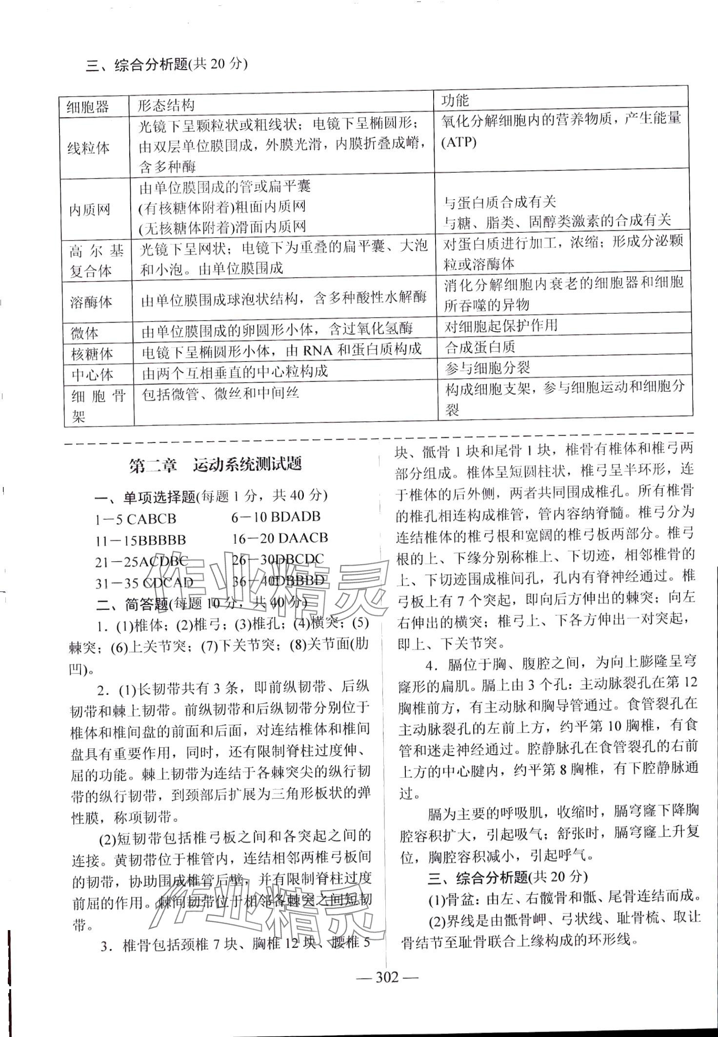 2024年学海领航阶段跟踪测评卷 第4页