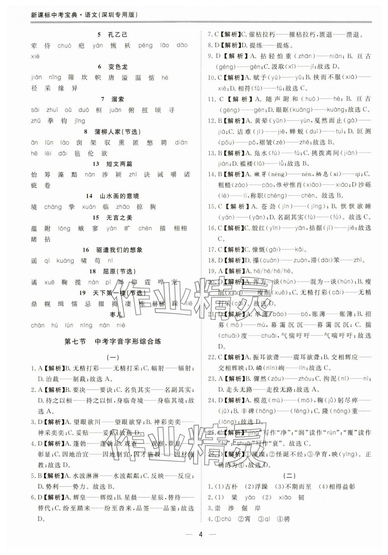 2024年新課標(biāo)中考寶典語文深圳專用 第4頁