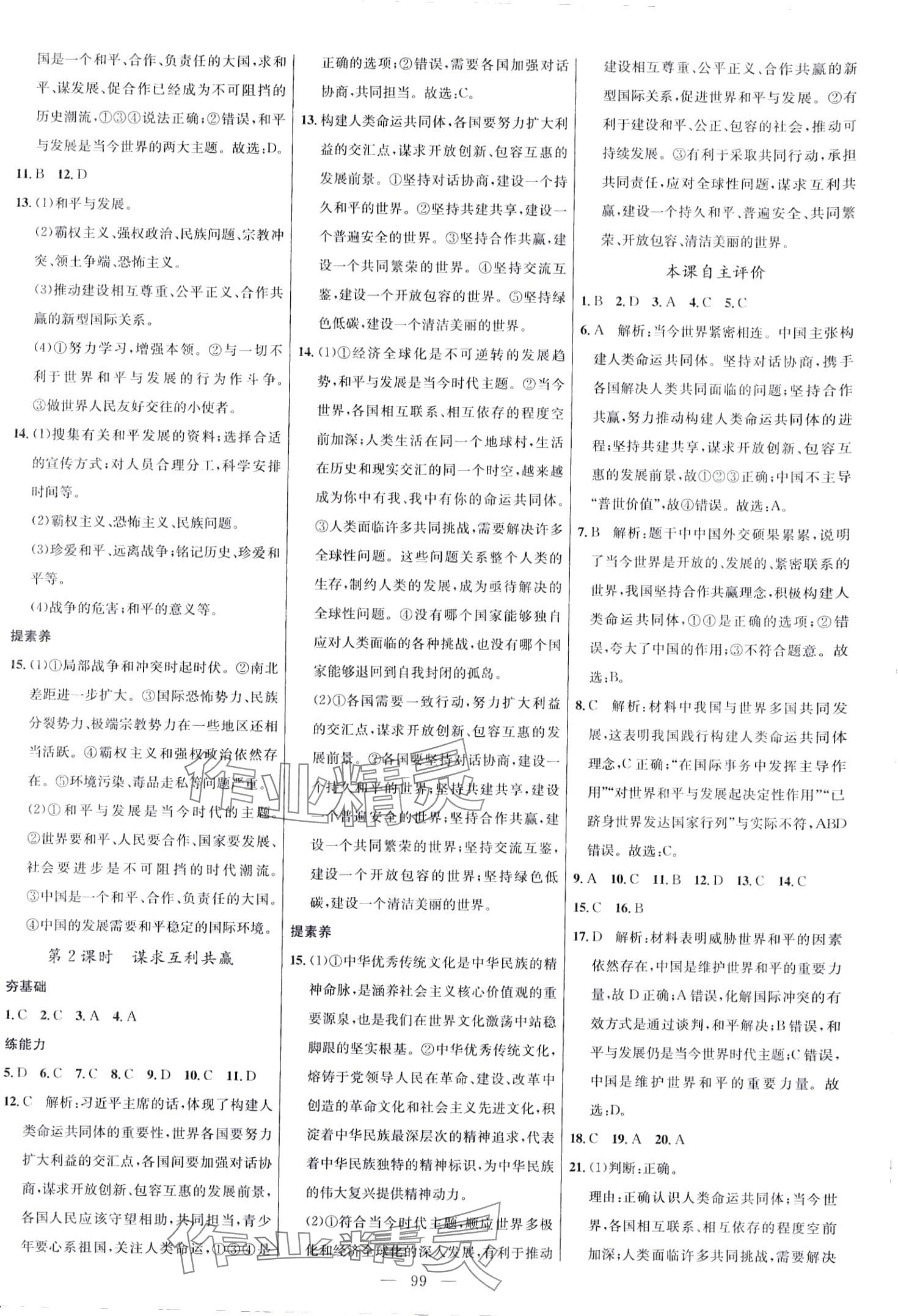 2024年细解巧练九年级道德与法治下册人教版 第3页