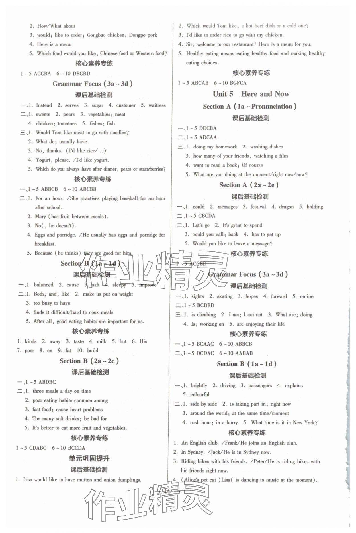 2025年領(lǐng)跑作業(yè)本七年級(jí)英語(yǔ)下冊(cè)人教版廣東專版 參考答案第16頁(yè)