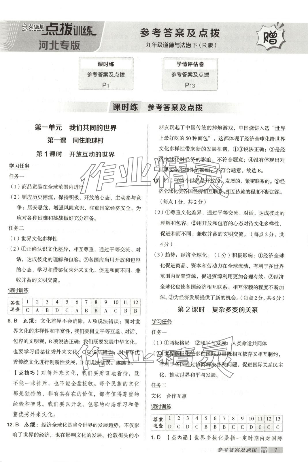 2025年点拨训练九年级道德与法治下册人教版河北专版 第1页