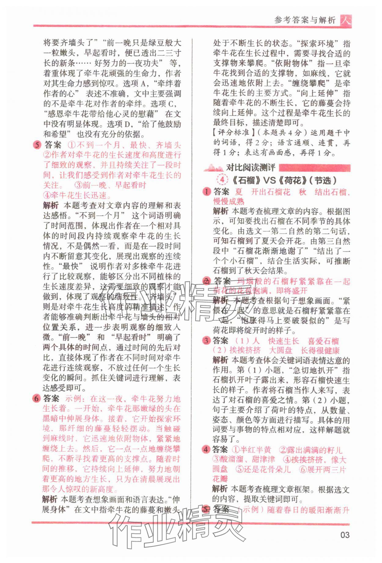 2025年木頭馬閱讀力測評三年級語文下冊人教版 參考答案第3頁
