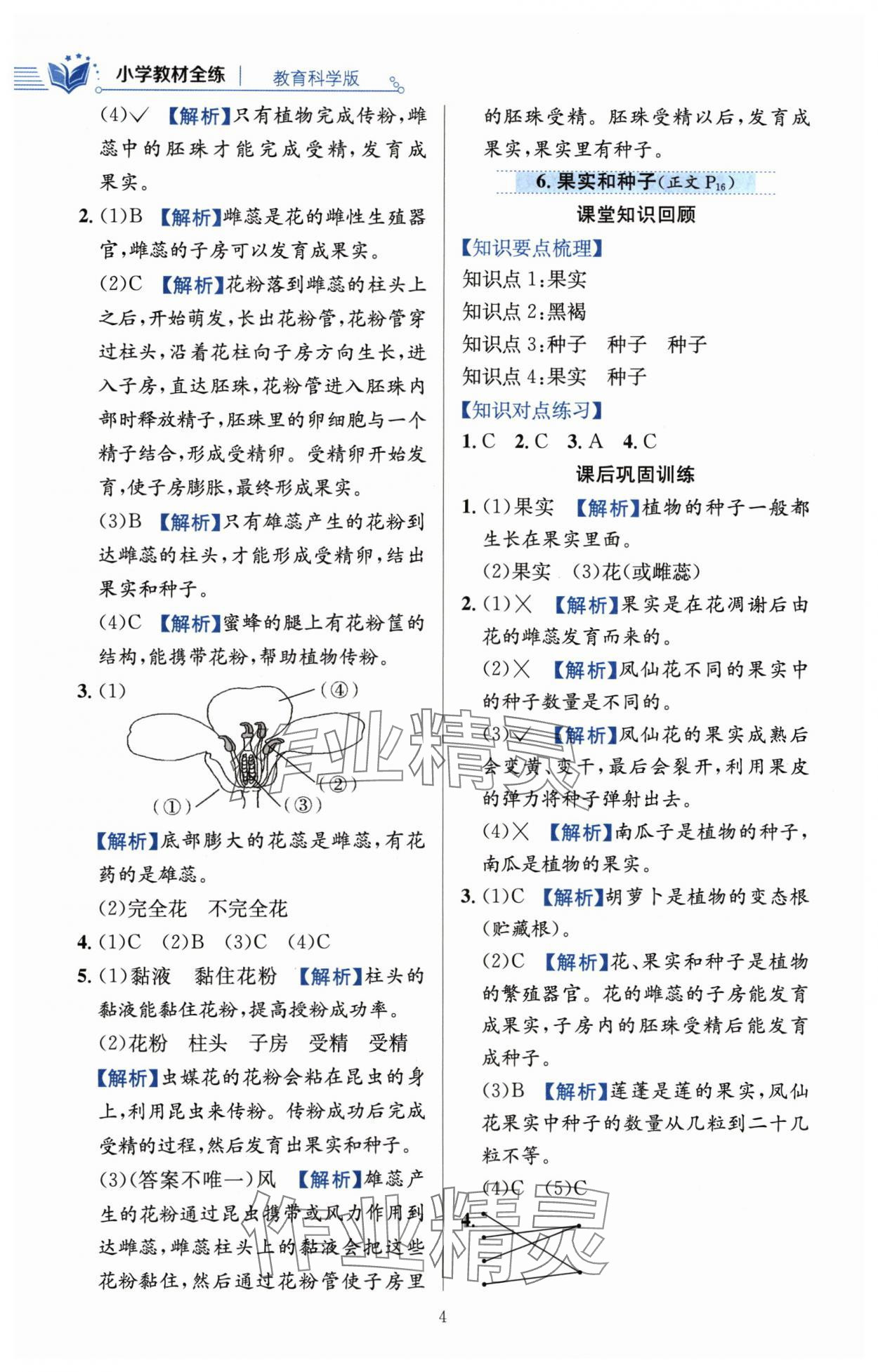 2024年教材全練四年級科學(xué)下冊教科版 第4頁