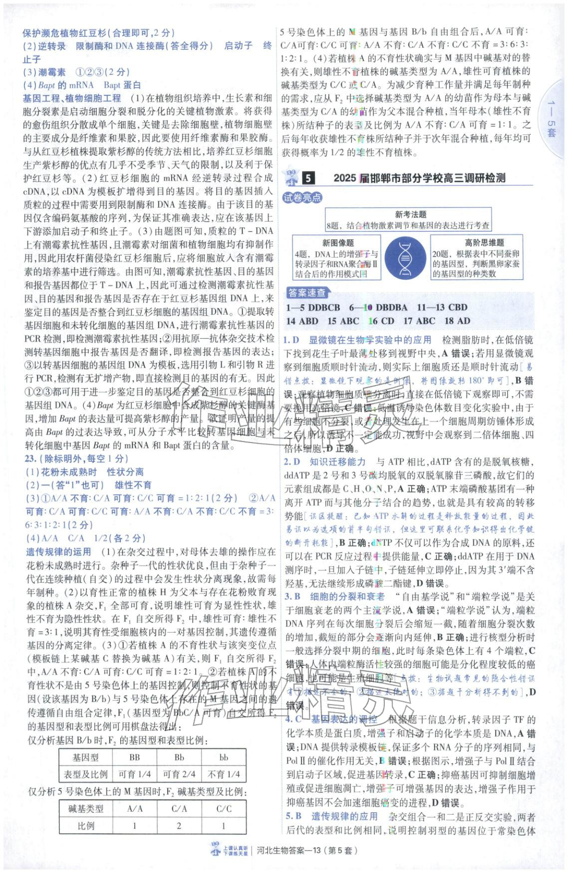 2026年金考卷優(yōu)秀模擬試卷匯編45套高中生物河北專版 第13頁
