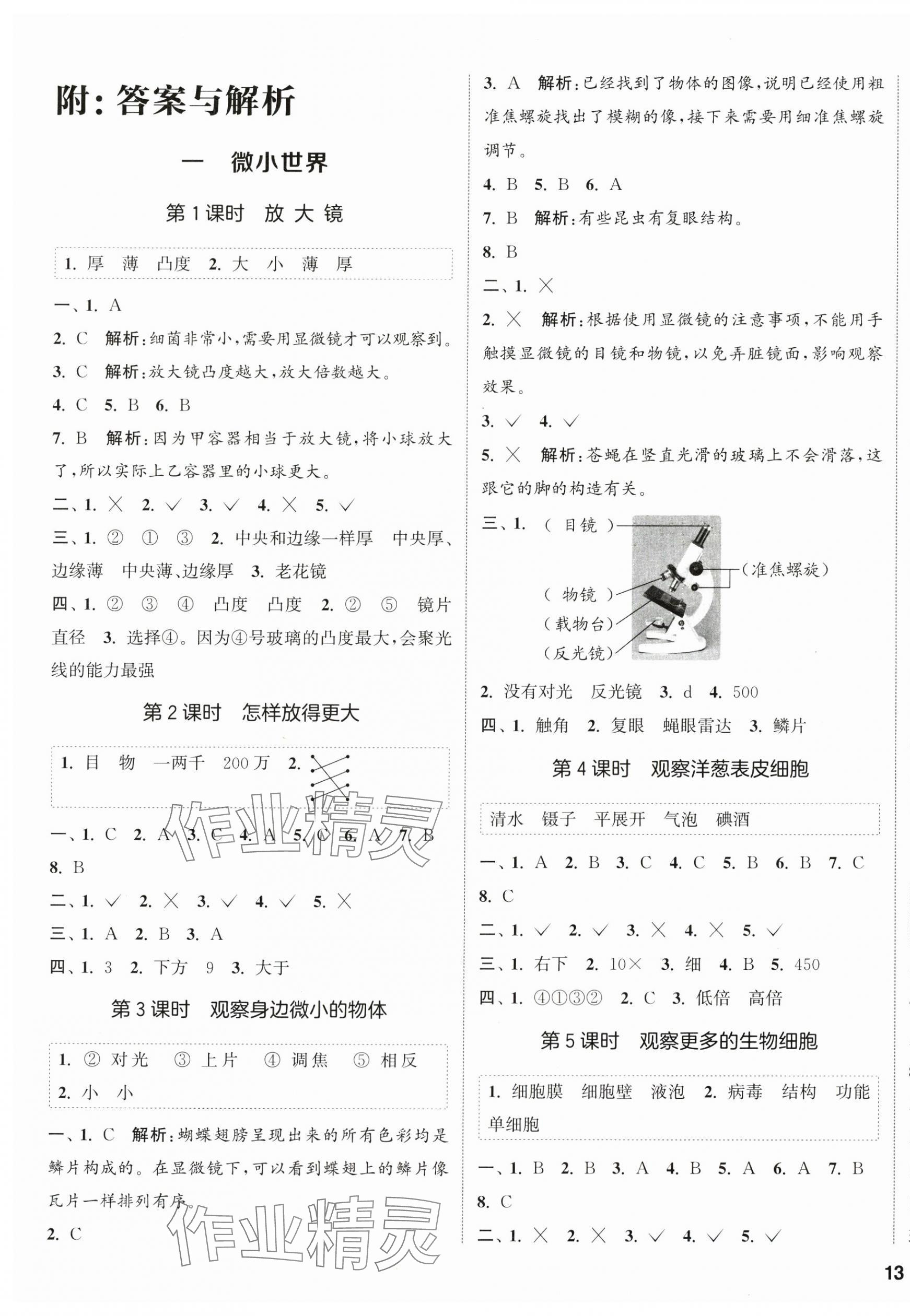 2025年通城学典课时作业本六年级科学上册教科版 第1页