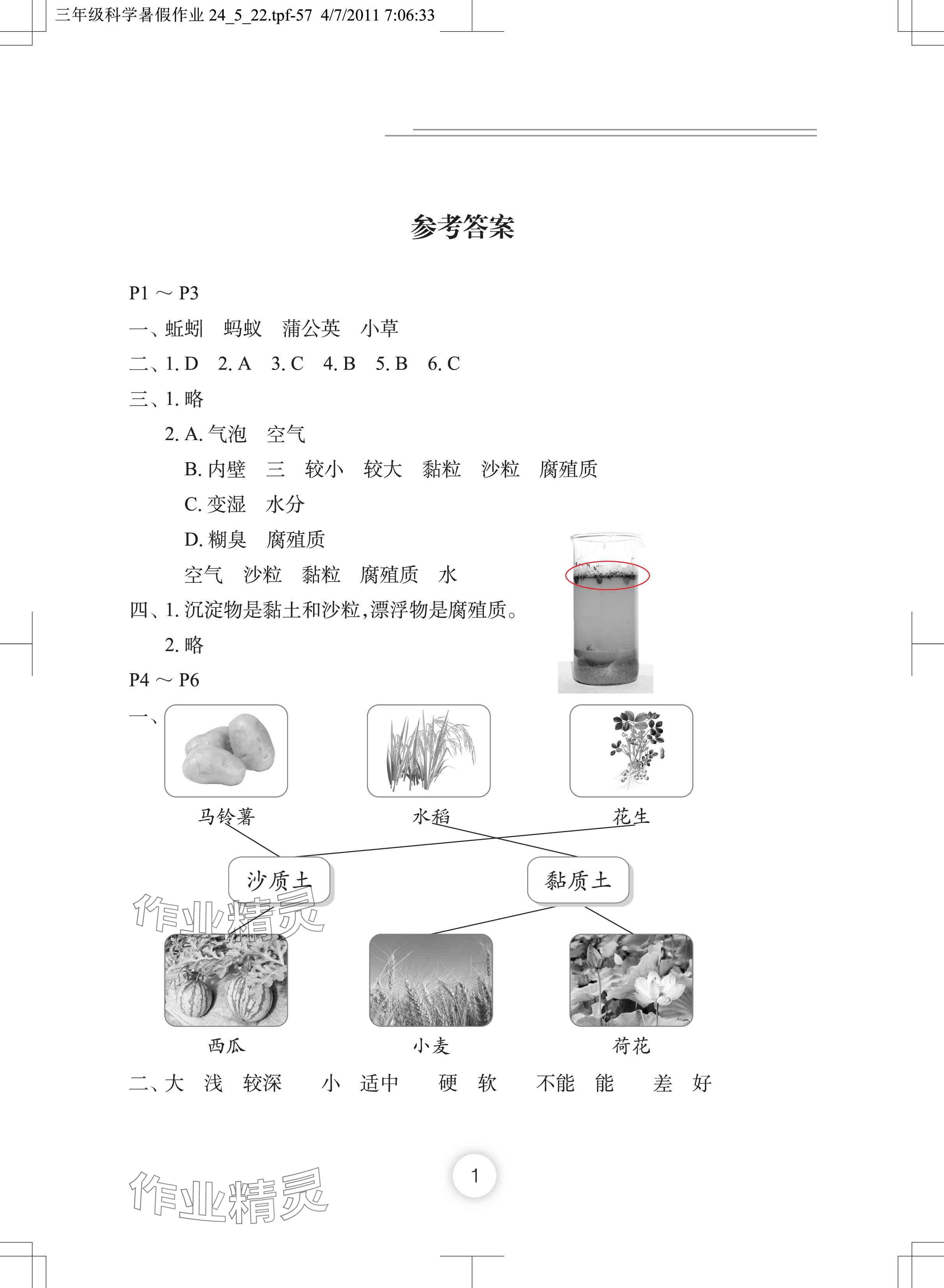 2024年暑假作业长江少年儿童出版社三年级科学 参考答案第1页