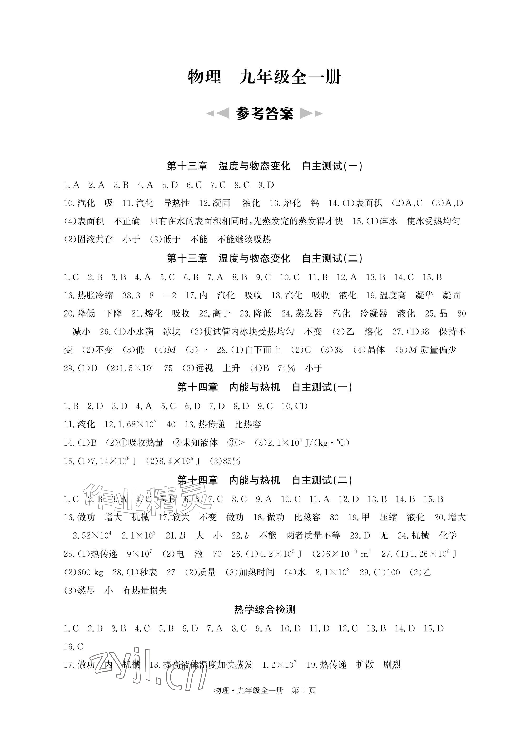 2026年同步素养闯关手册九年级物理全一册沪科版&nbsp;参考答案第1页