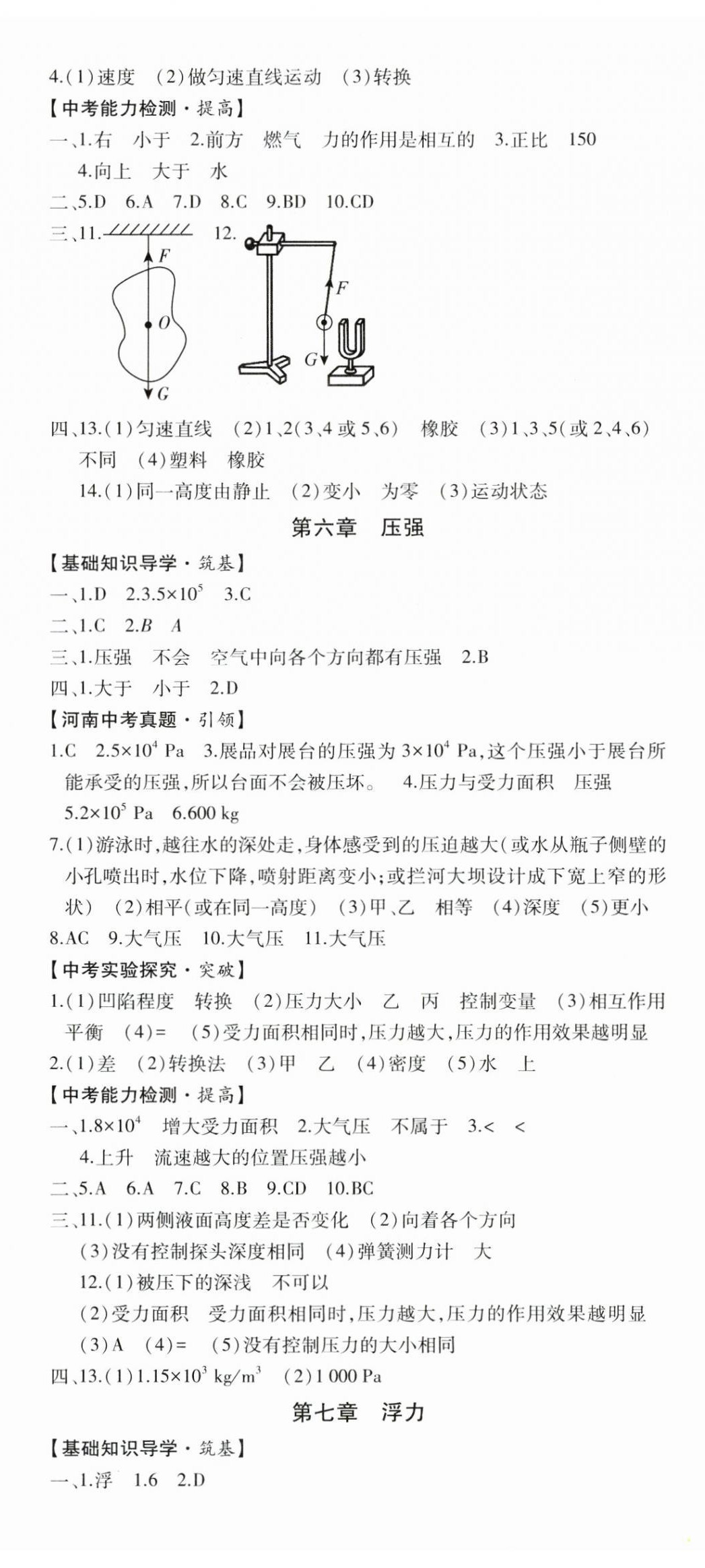 2025年初中學(xué)業(yè)水平考試復(fù)習(xí)指導(dǎo)物理河南專版 第5頁