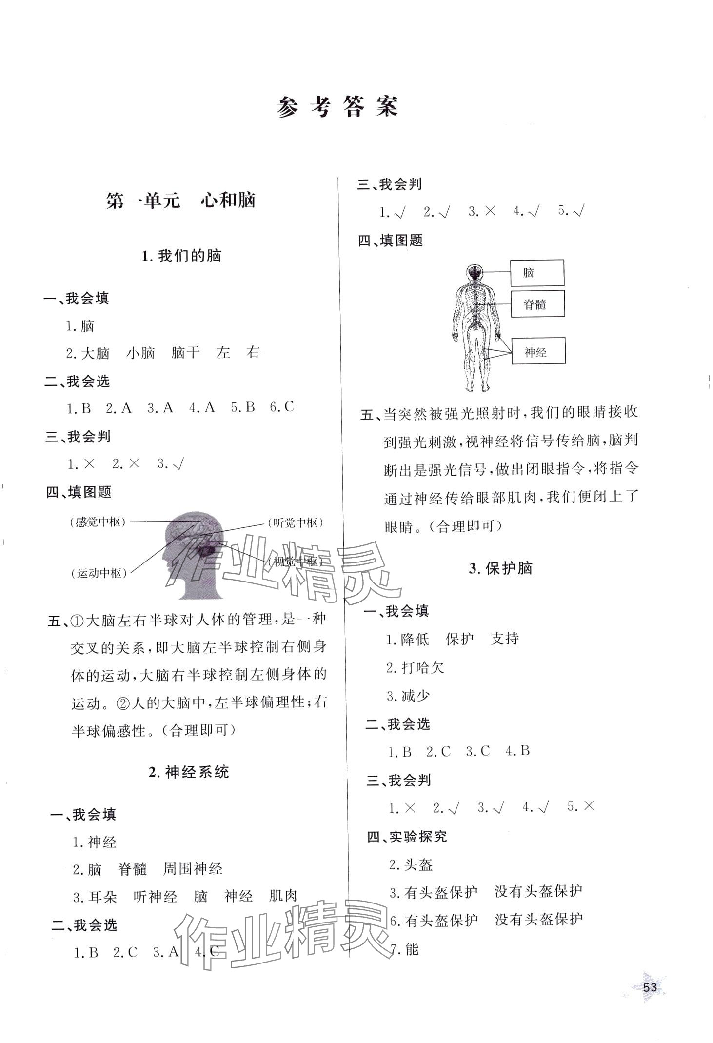 2024年同步練習(xí)冊山東人民出版社五年級科學(xué)下冊青島版六三制 第1頁