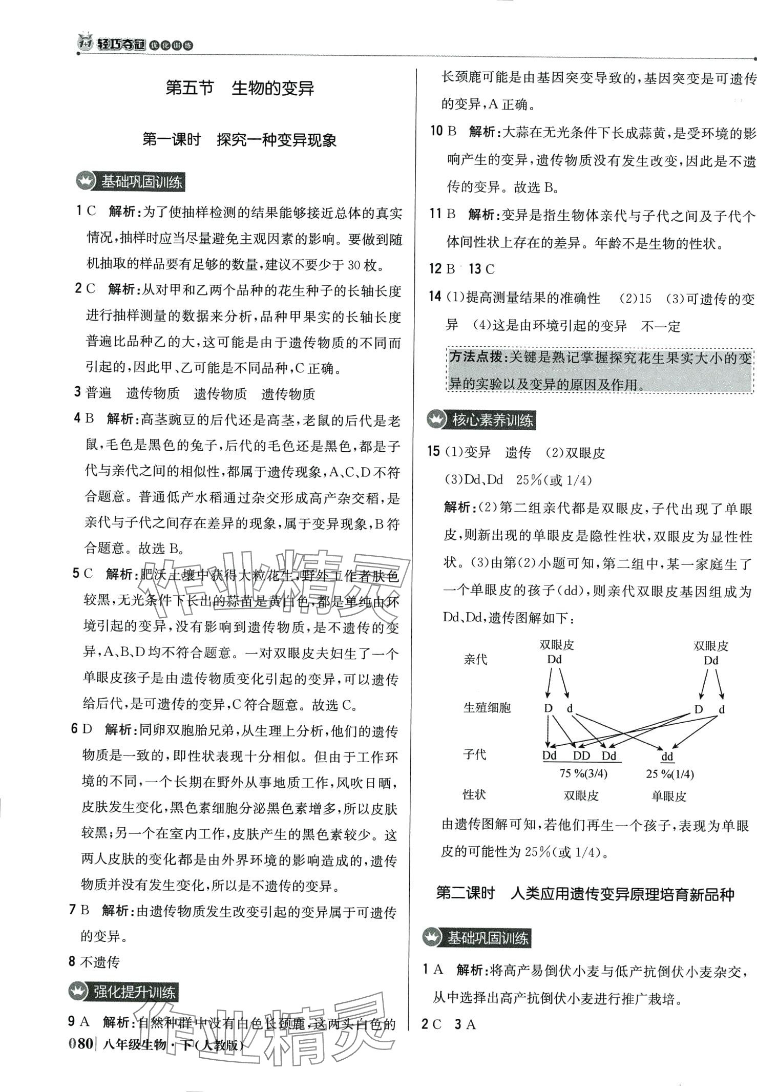 2024年1加1輕巧奪冠優(yōu)化訓練八年級生物下冊人教版 第9頁