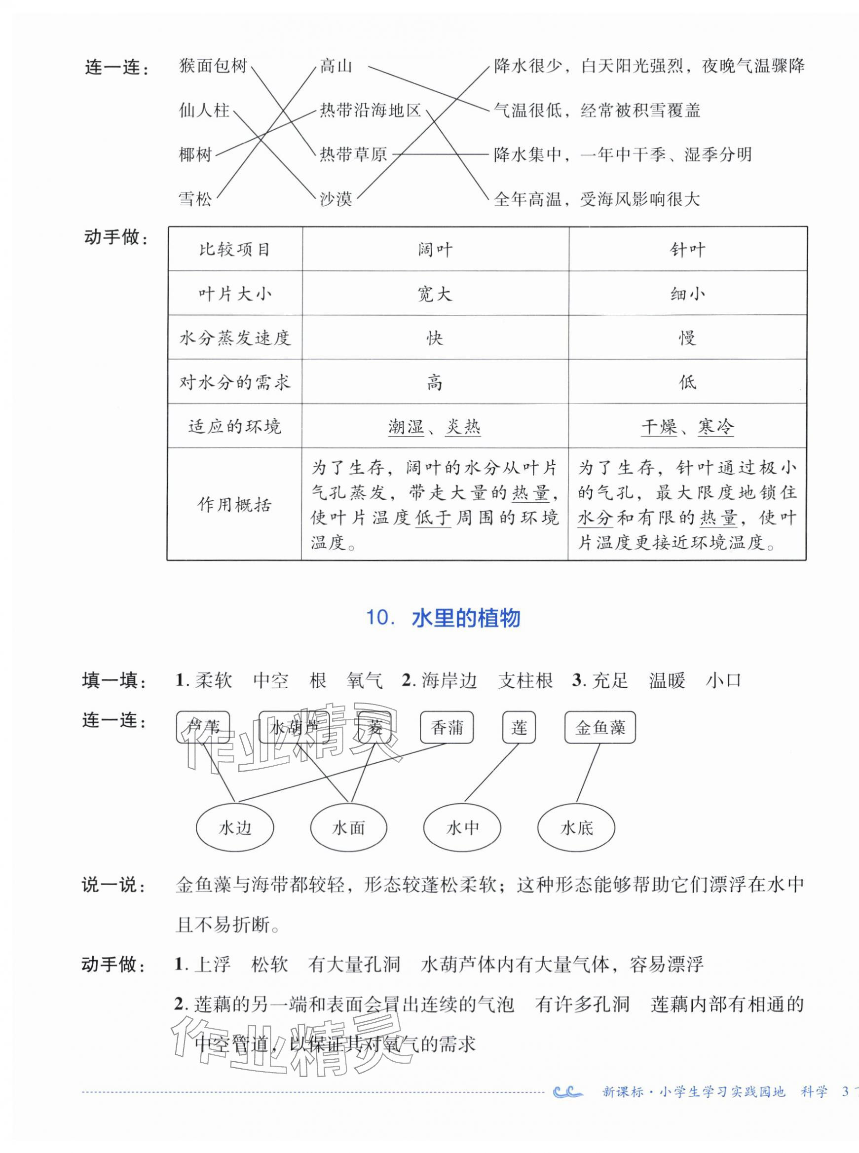 2026年小学生学习实践园地三年级科学下册苏教版&nbsp;第5页