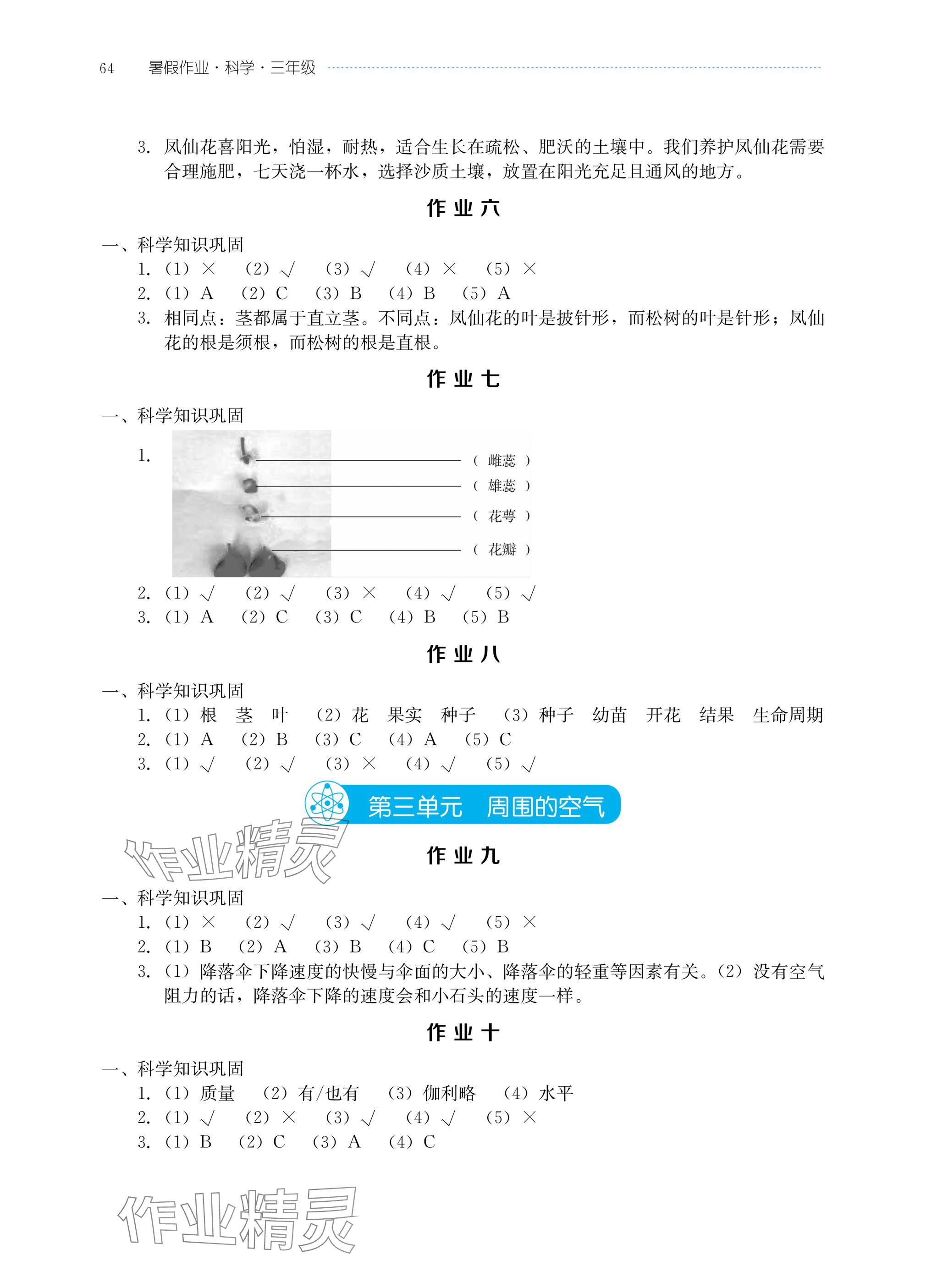2025年暑假作业湖北教育出版社三年级科学人教版鄂教版 参考答案第2页