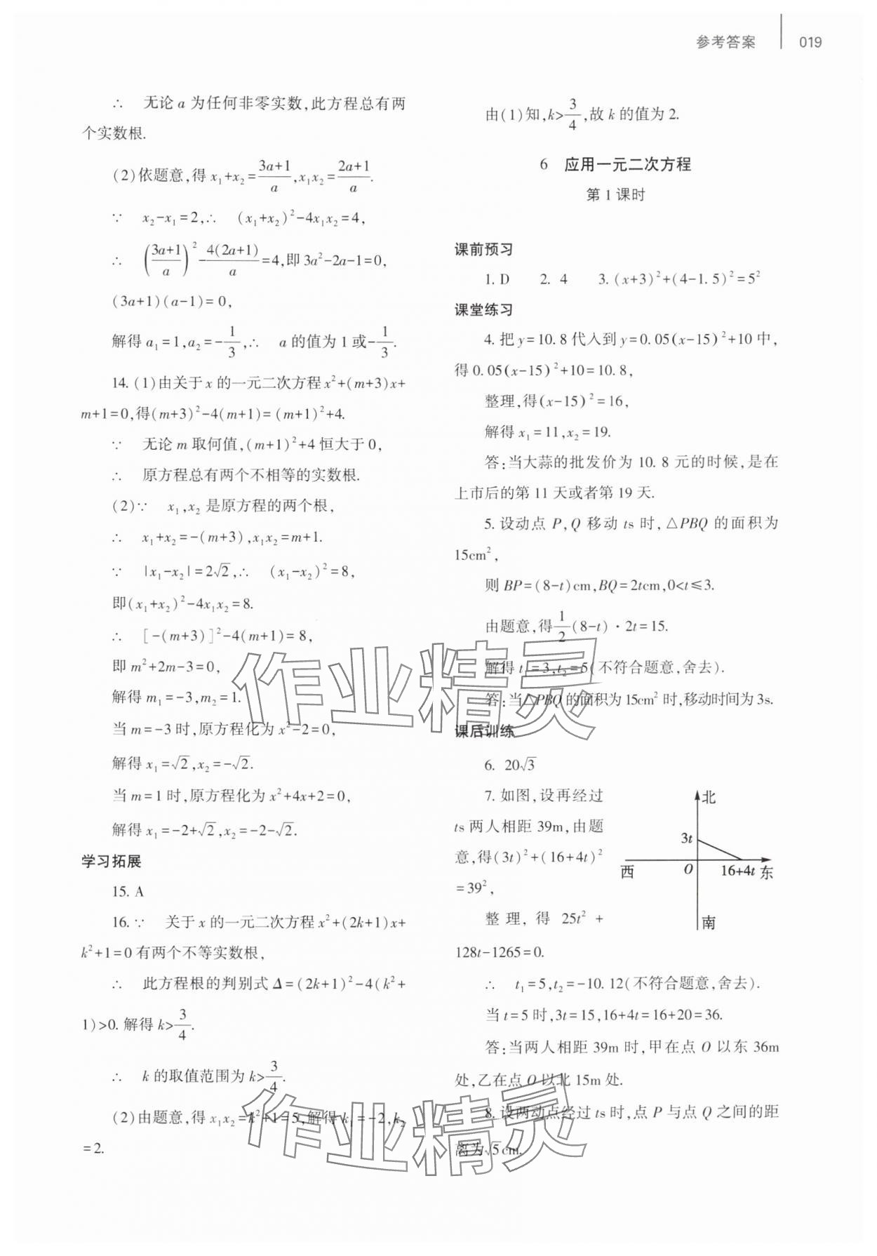 2025年基礎訓練大象出版社九年級數學全一冊北師大版 第19頁