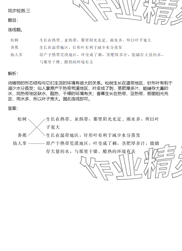 2024年同步实践评价课程基础训练五年级科学下册教科版 参考答案第21页