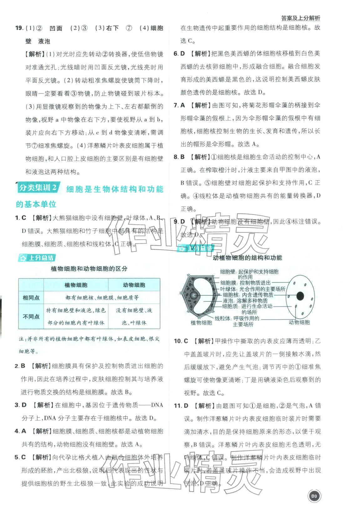 2026年中考真题分类八年级生物全一册通用版&nbsp;第3页