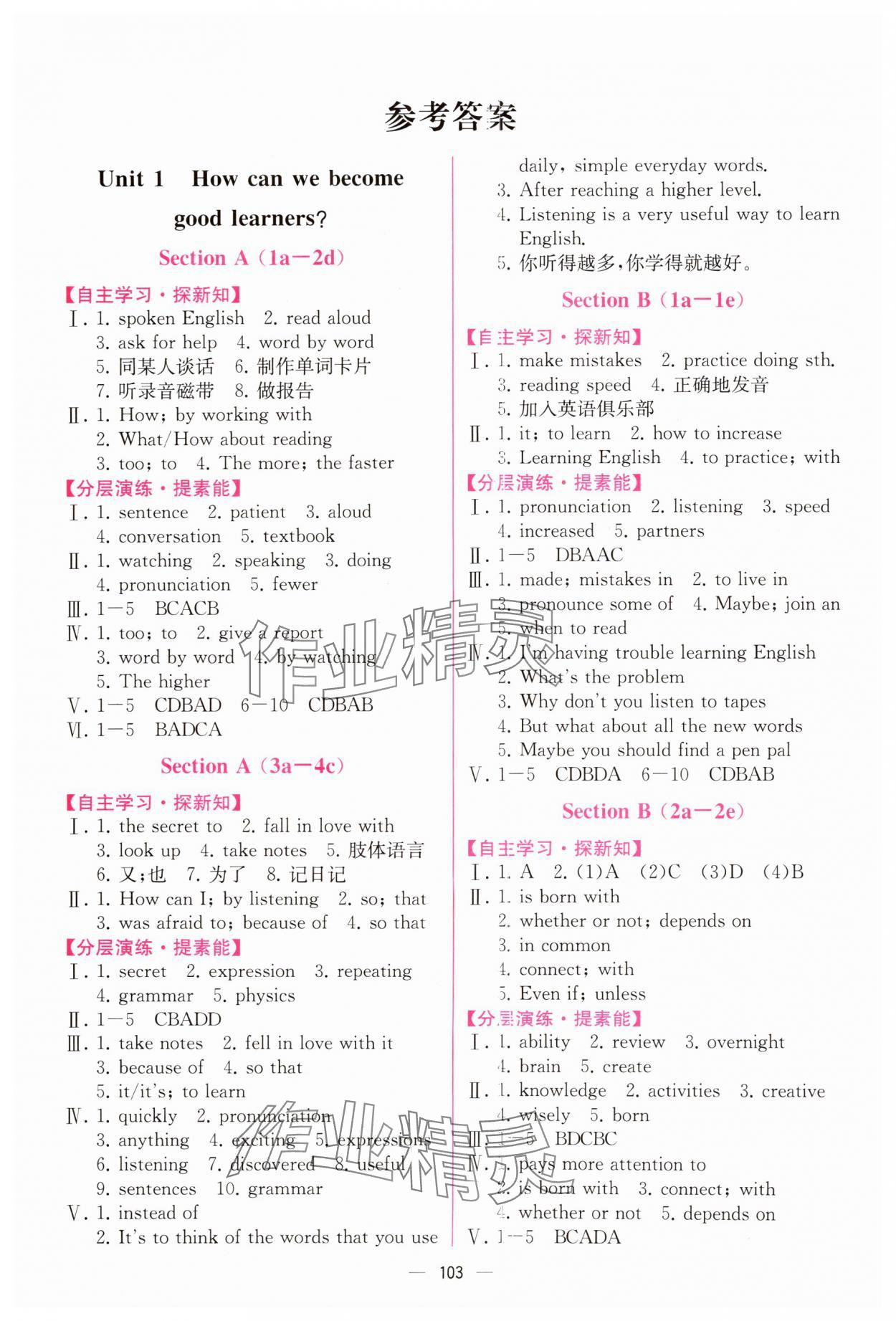 2024年同步導(dǎo)學(xué)案課時練九年級英語全一冊人教版河南專版 第1頁