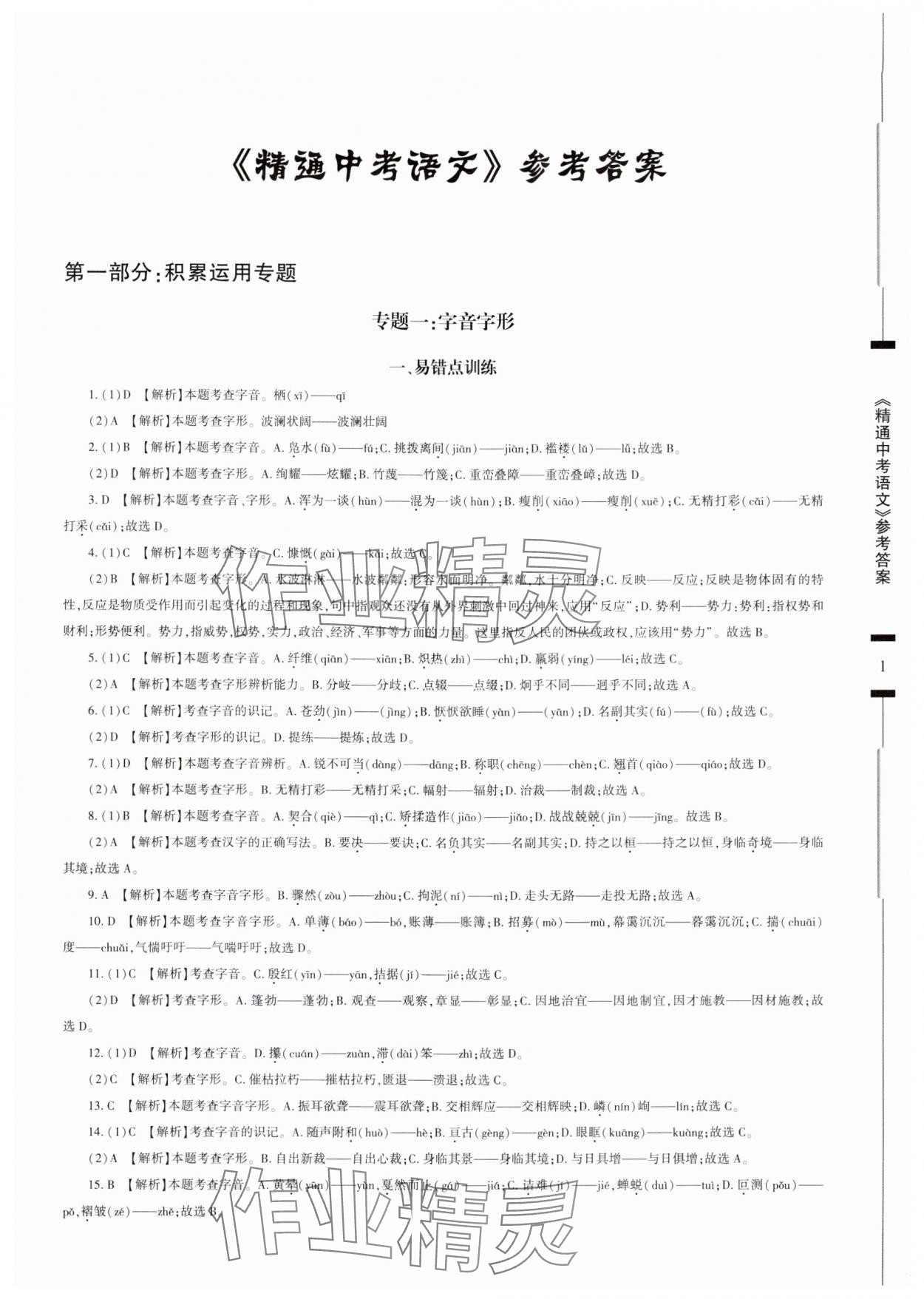 2024年精通中考語文基礎(chǔ)知識(shí)與試卷訓(xùn)練 第1頁