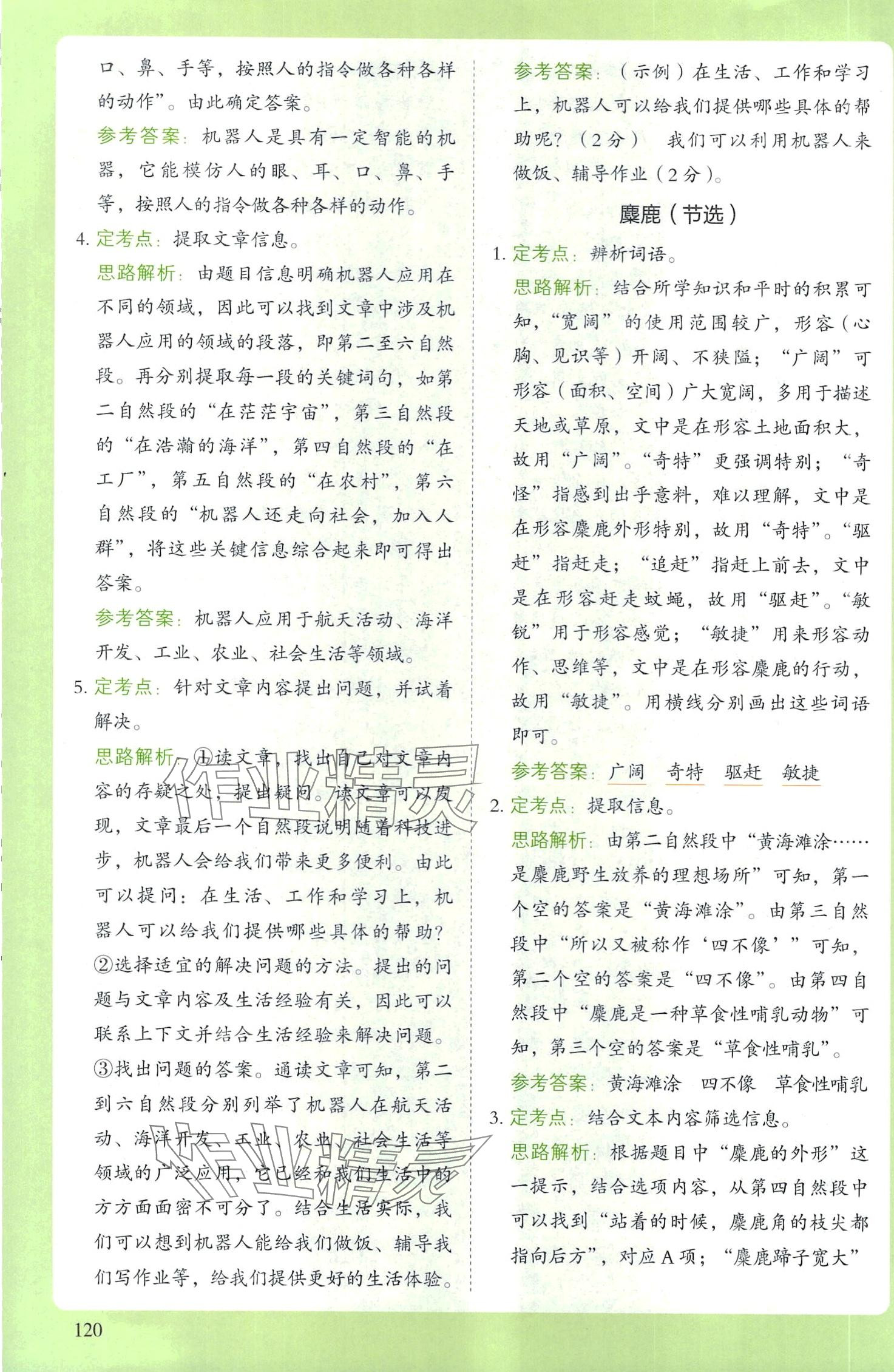 2024年阅读理解与答题模板四年级语文下册人教版 第7页