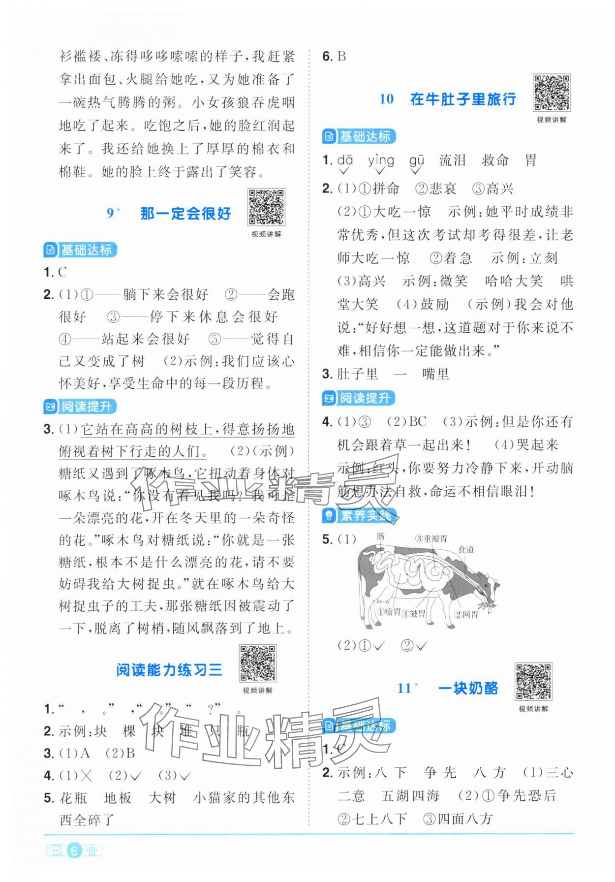 2023年阳光同学课时优化作业三年级语文上册人教版广东专版 参考答案第6页