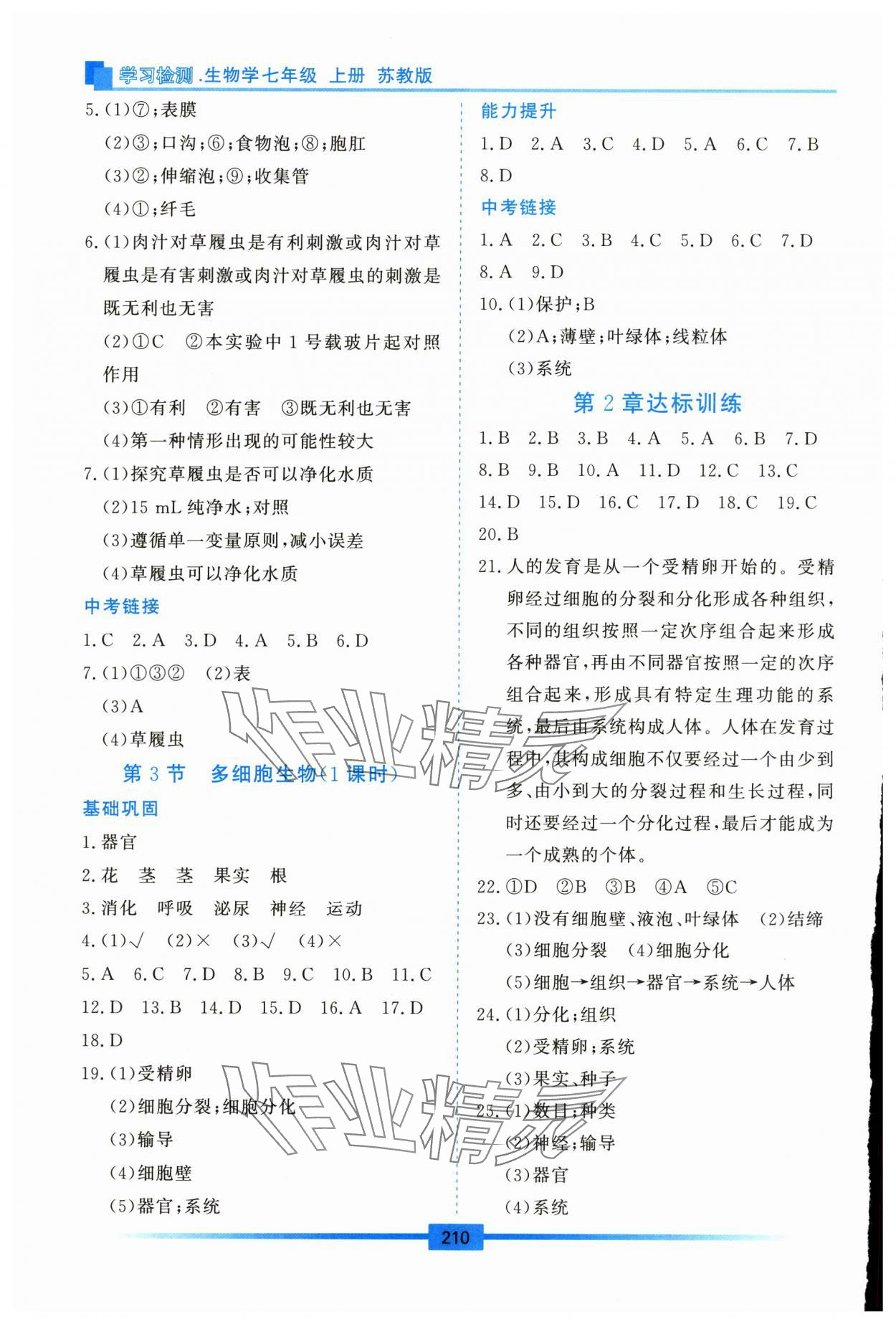 2025年学习检测七年级生物上册苏教版 第4页