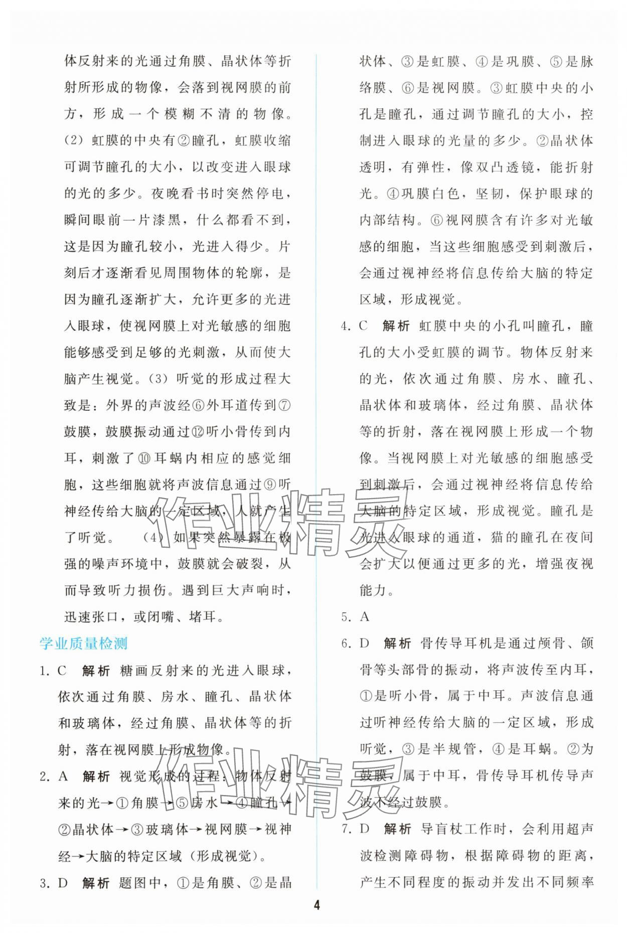 2025年同步轻松练习八年级生物上册人教版精编版 参考答案第3页