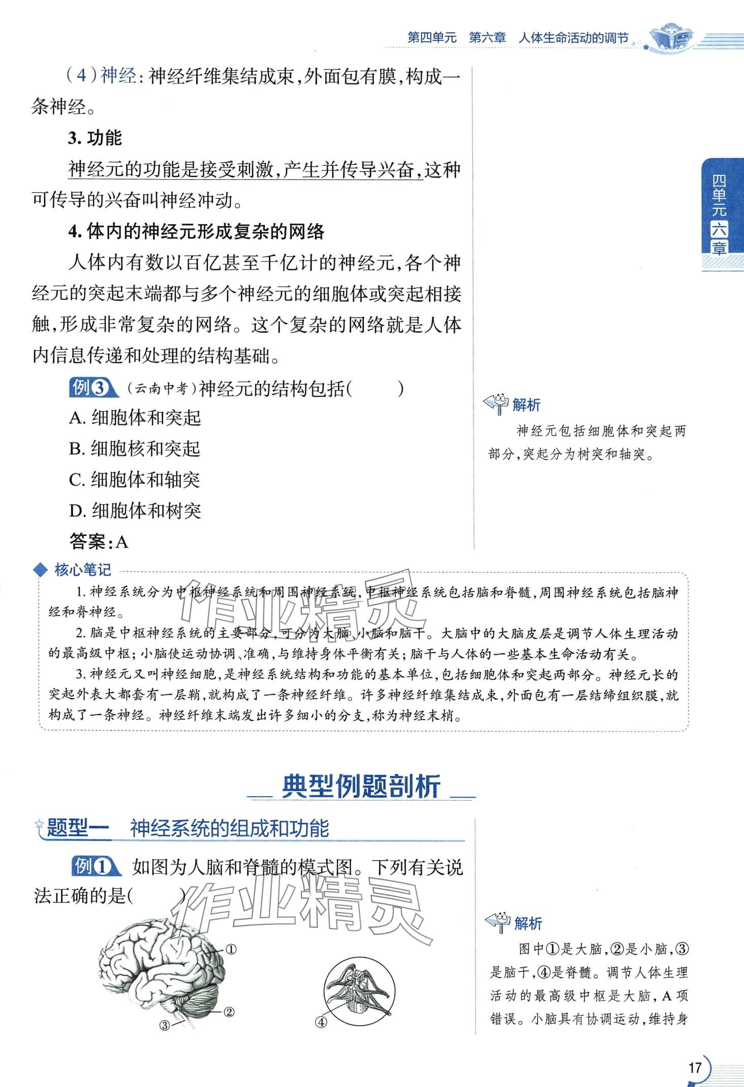 2024年教材课本七年级生物下册鲁科版&nbsp;第17页