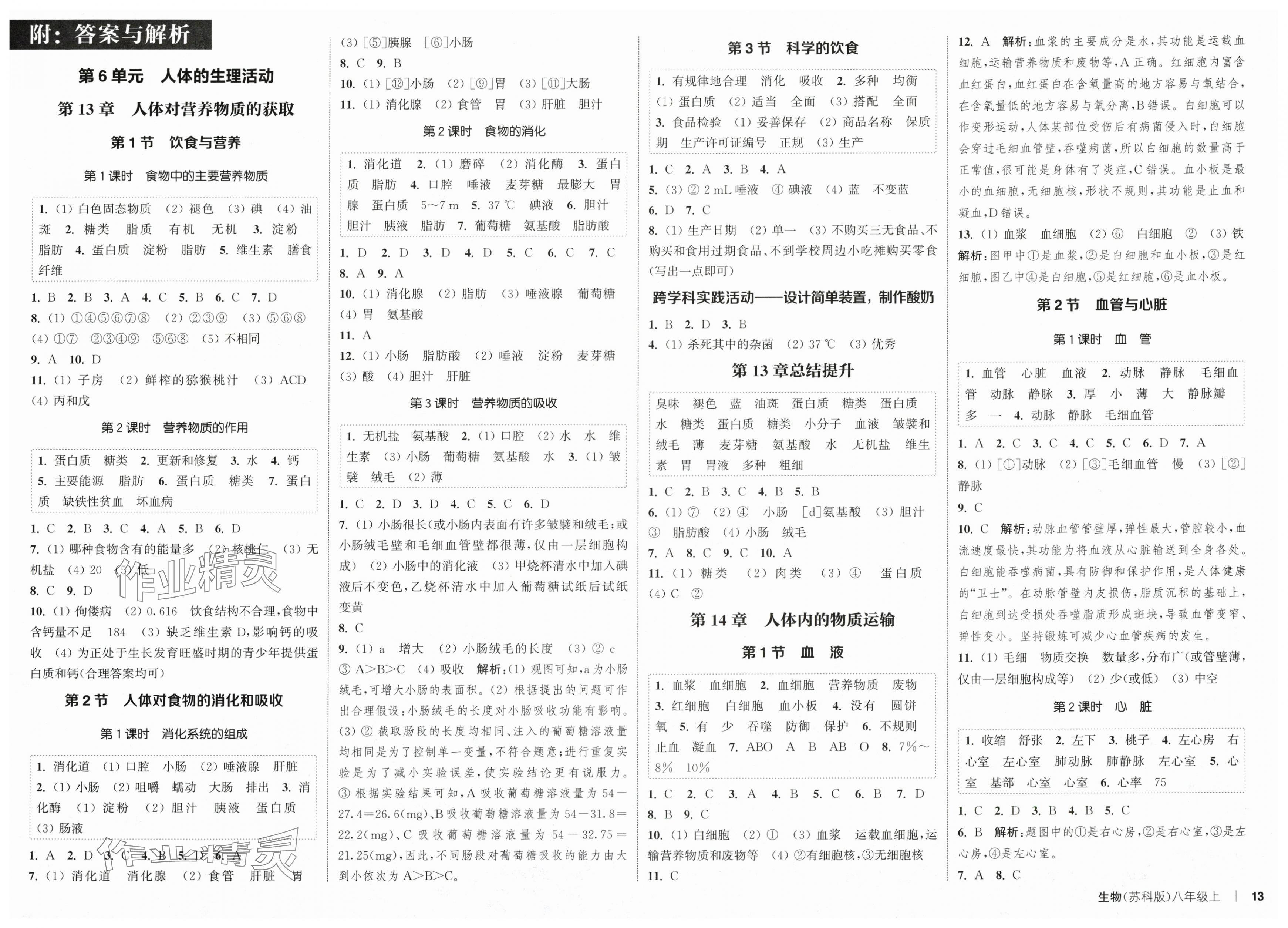 2025年通城学典课时作业本八年级生物上册苏科版 第1页
