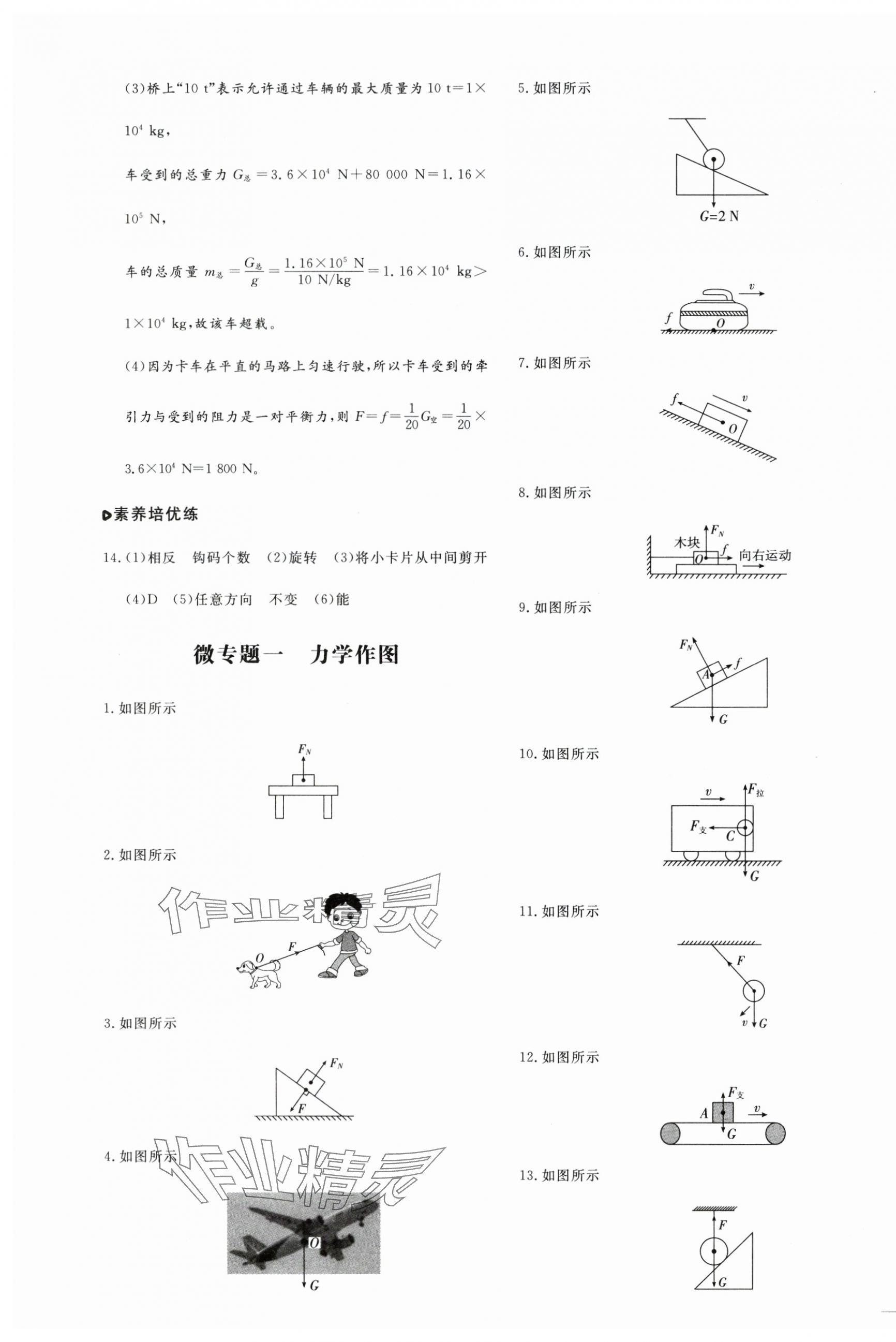 2025年練案八年級物理下冊魯科版五四制 第3頁