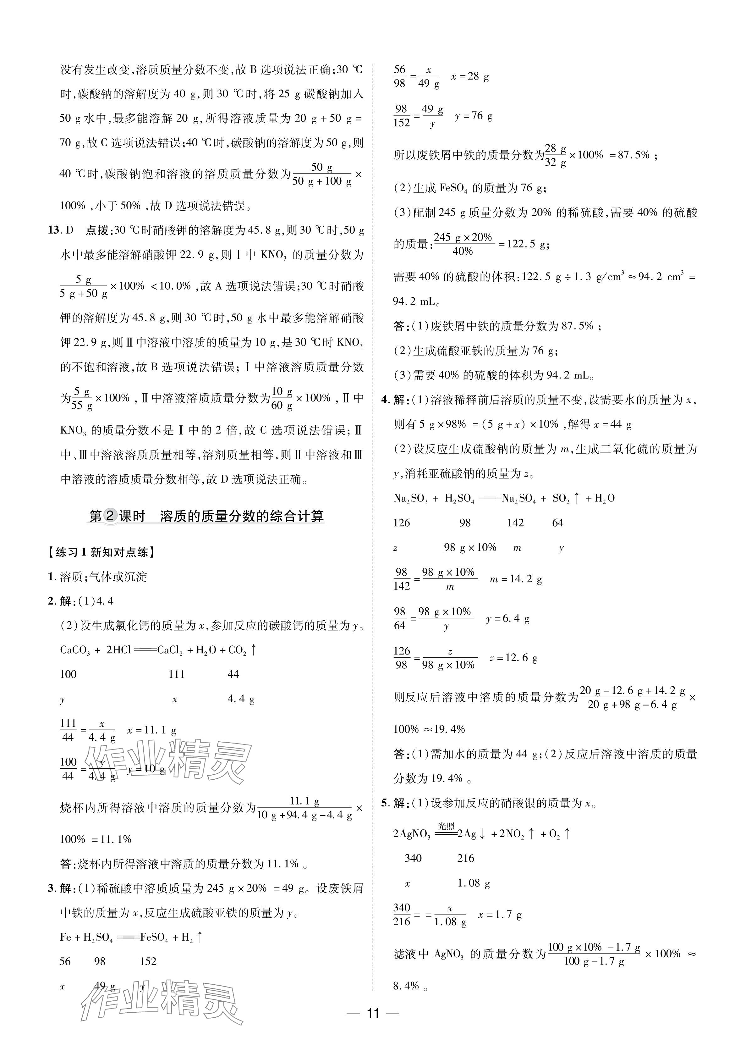 2024年点拨训练九年级化学下册人教版 参考答案第10页