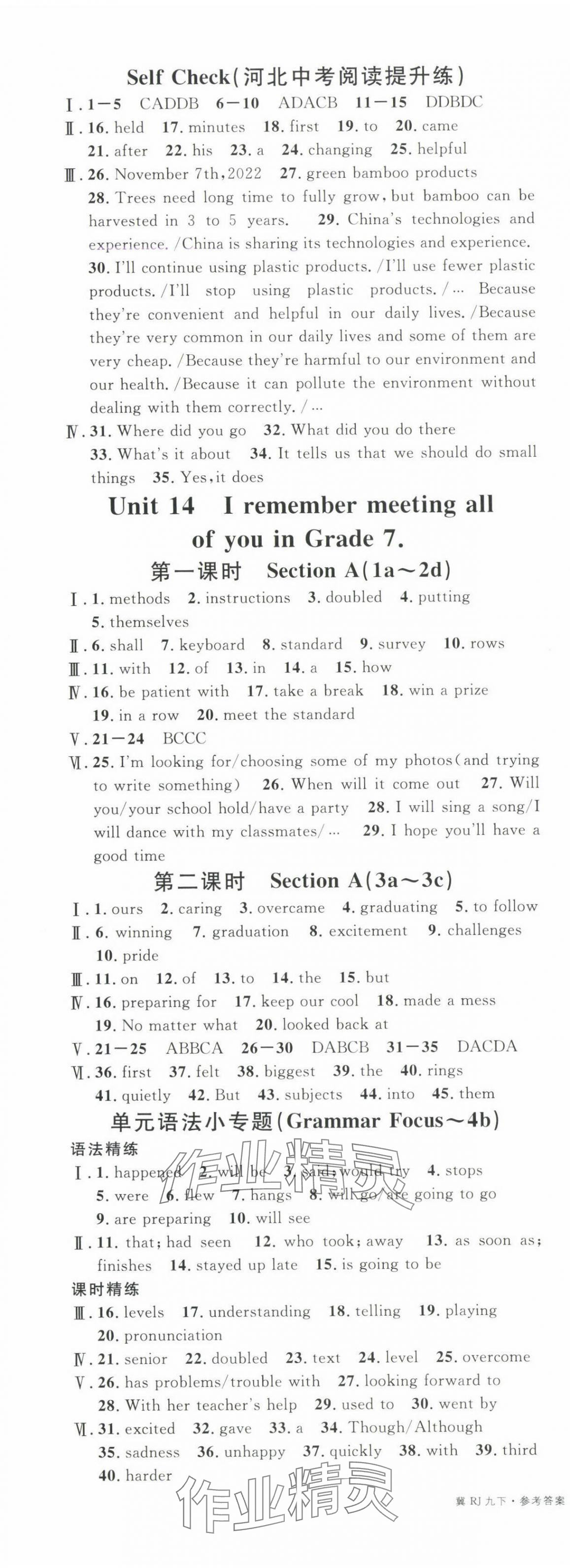 2025年名校課堂九年級英語下冊人教版河北專版 參考答案第9頁