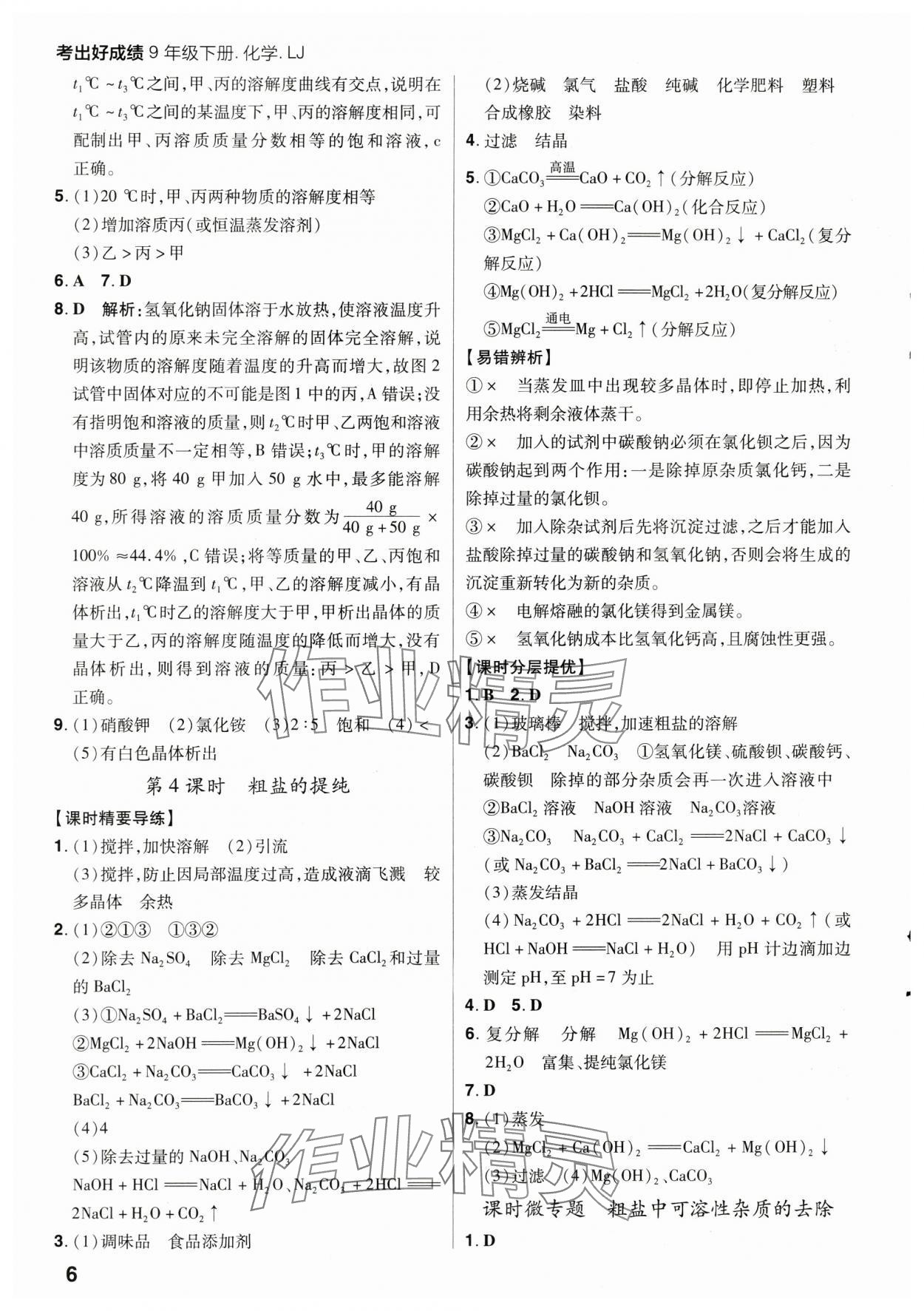 2025年考出好成績九年級化學下冊魯教版山東專版 第6頁