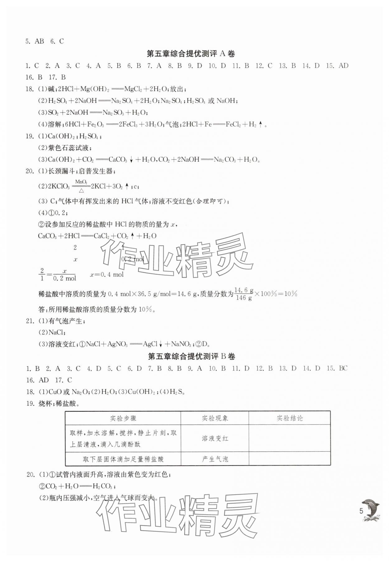 2025年實驗班提優(yōu)訓(xùn)練九年級化學(xué)下冊滬教版上海專版54制 第5頁