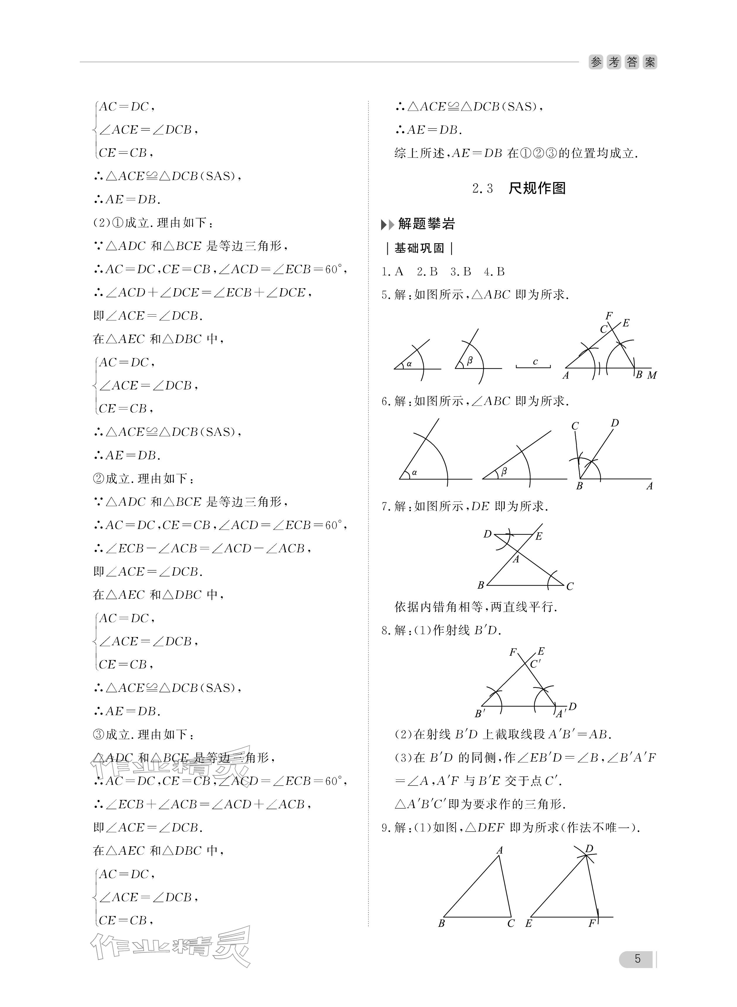 2025年行知天下八年级数学上册青岛版 参考答案第5页