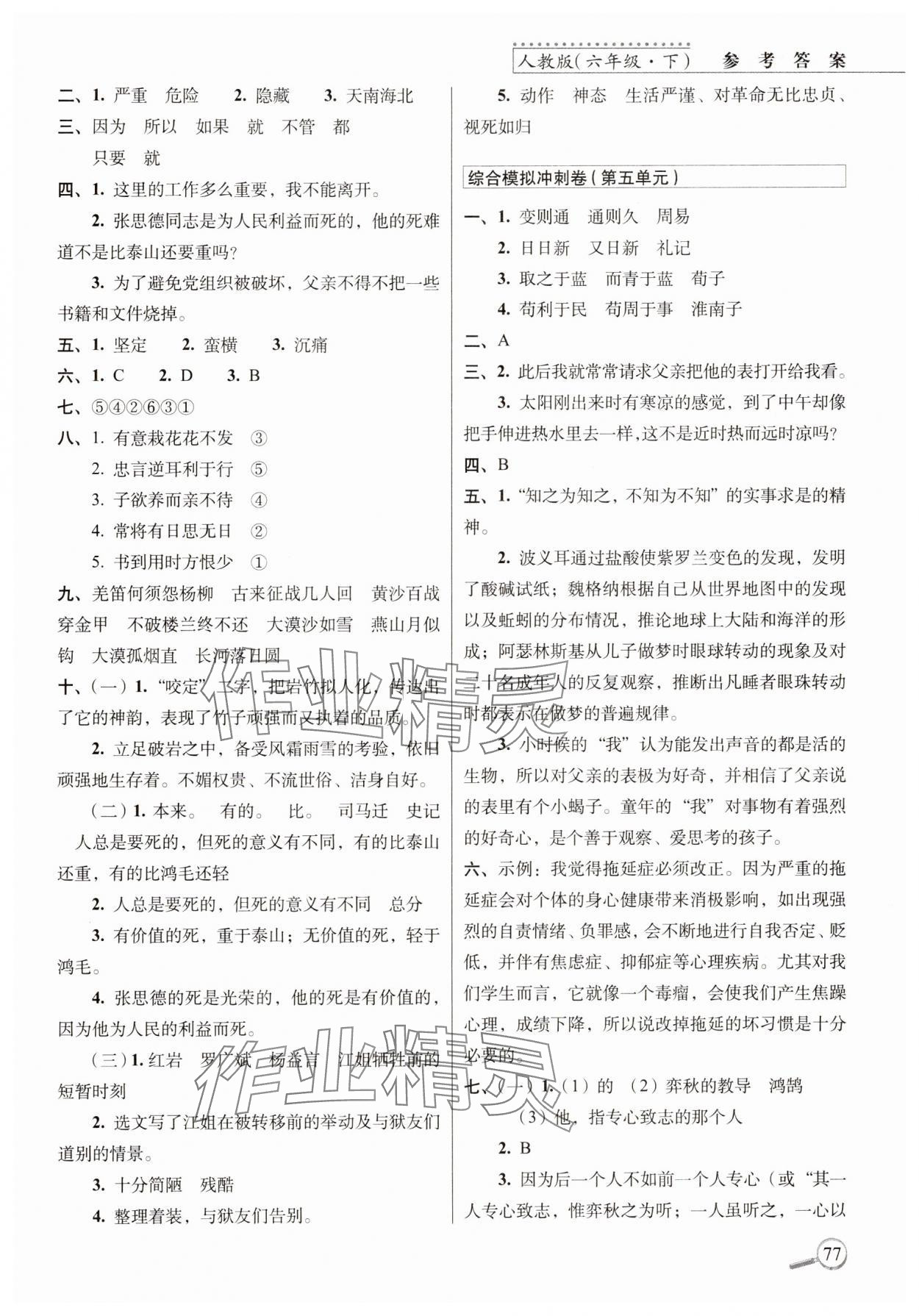 2025年15天巧夺100分六年级语文下册人教版 参考答案第3页