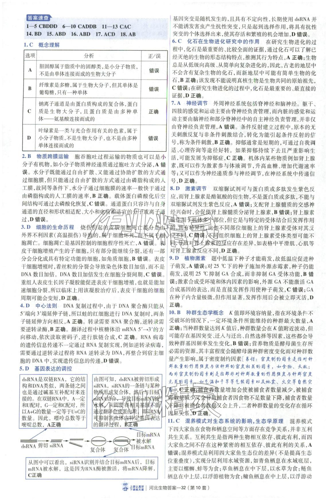 2026年金考卷優(yōu)秀模擬試卷匯編45套高中生物河北專版 第32頁