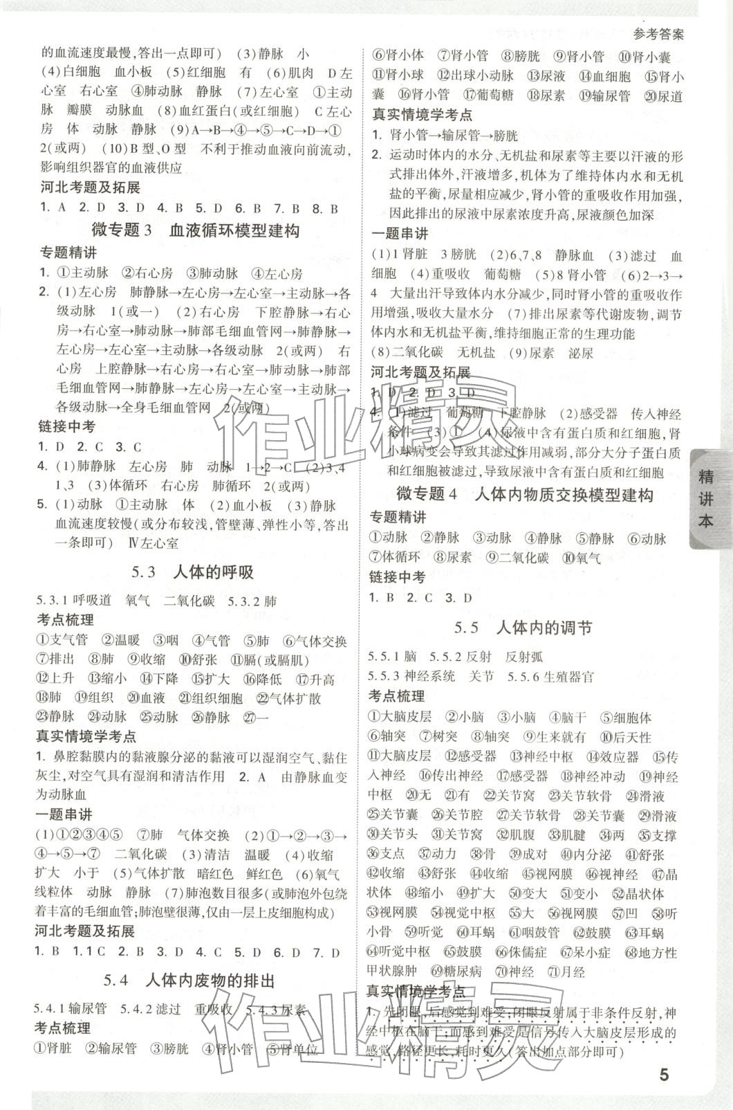 2025年萬唯中考試題研究生物河北專版 第5頁