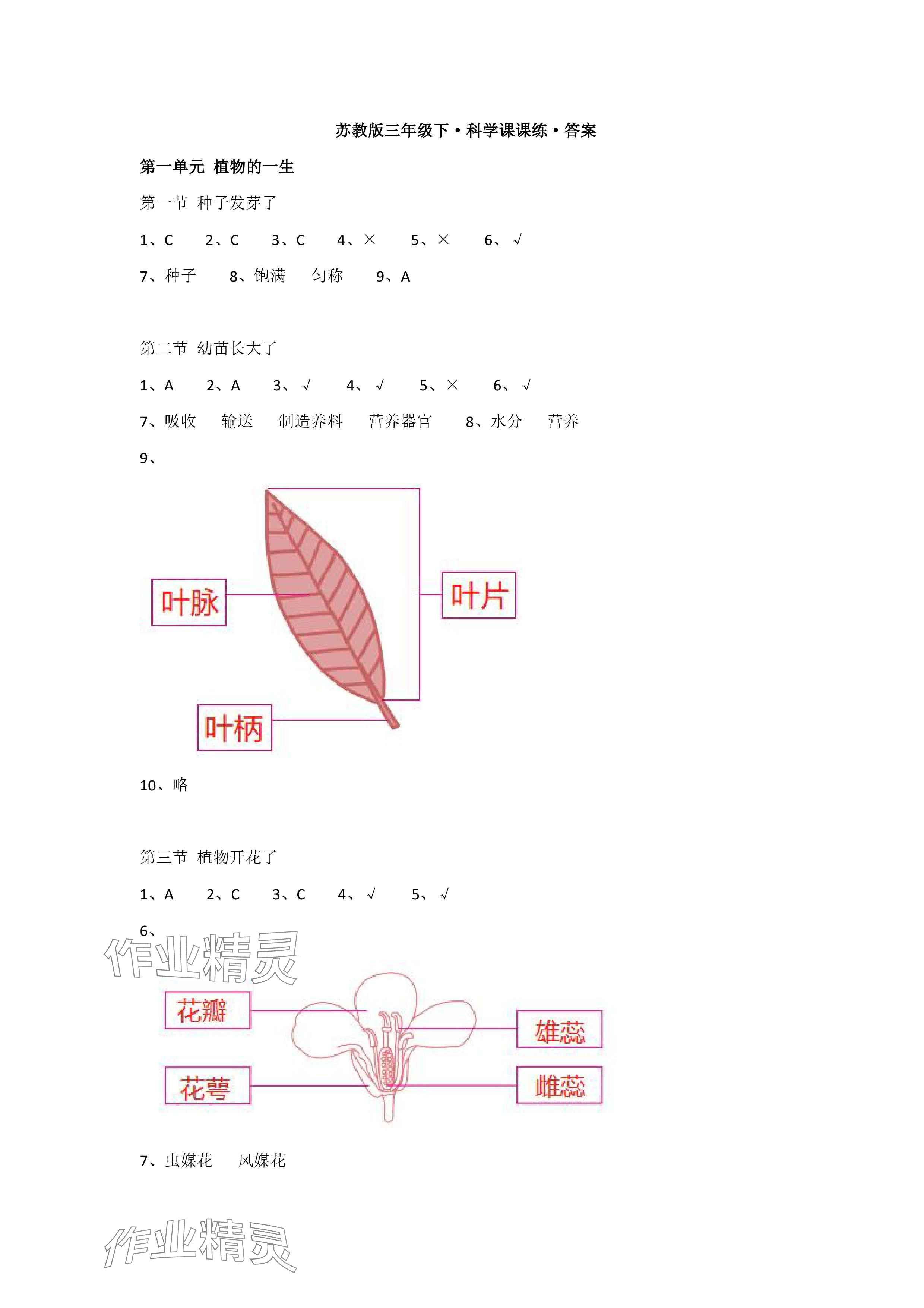 2025年科學課課練三年級下冊蘇教版 參考答案第1頁