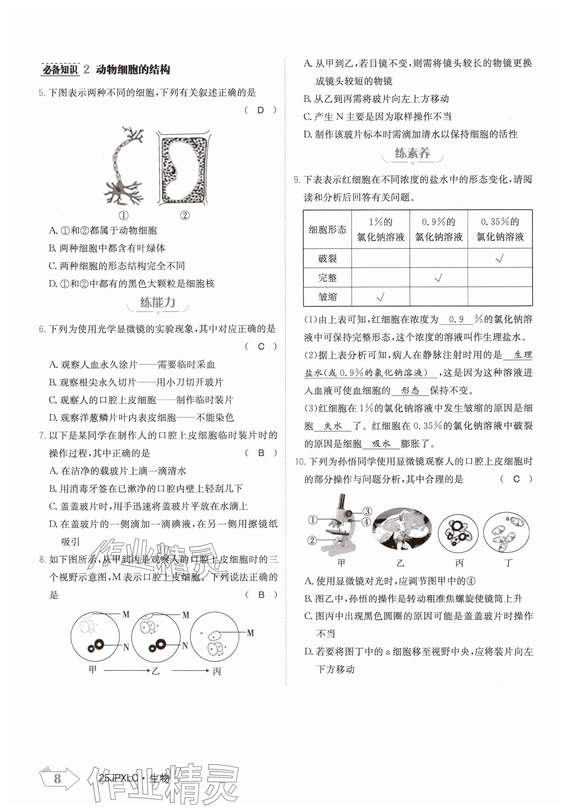 2024年金牌學(xué)練測七年級生物上冊人教版 參考答案第8頁