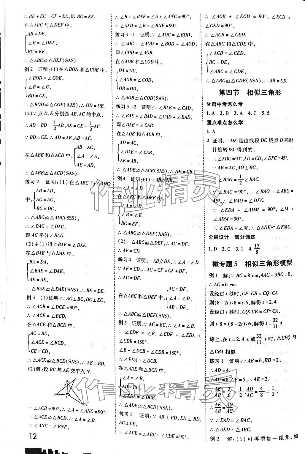 2024年核心中考数学甘肃专版&nbsp;第11页