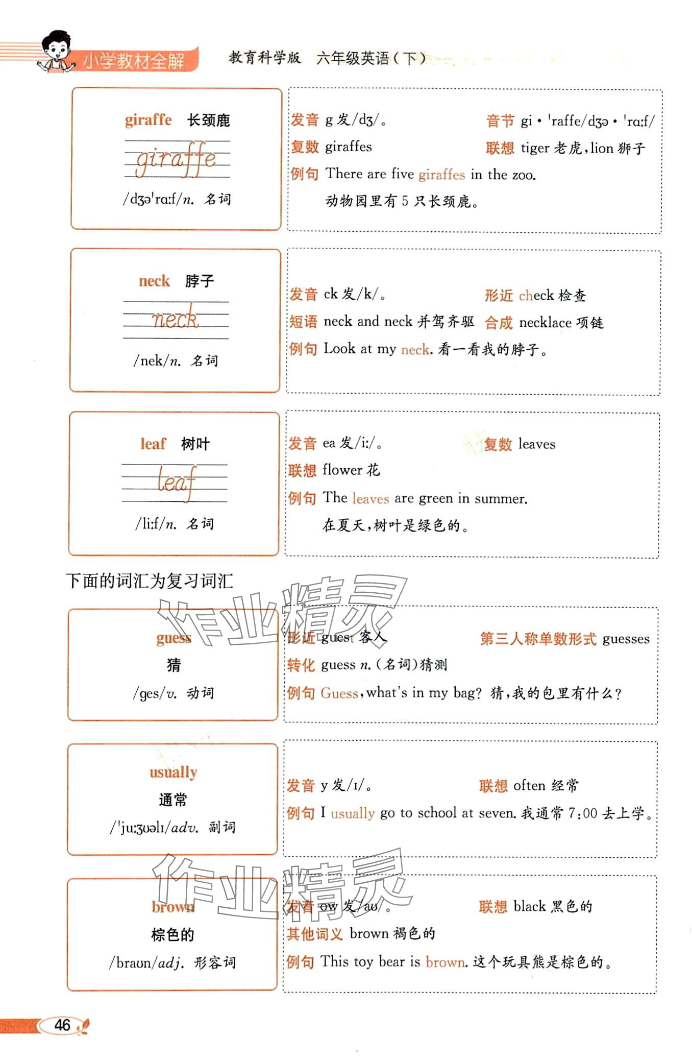 2024年教材課本六年級英語下冊教科版 第46頁