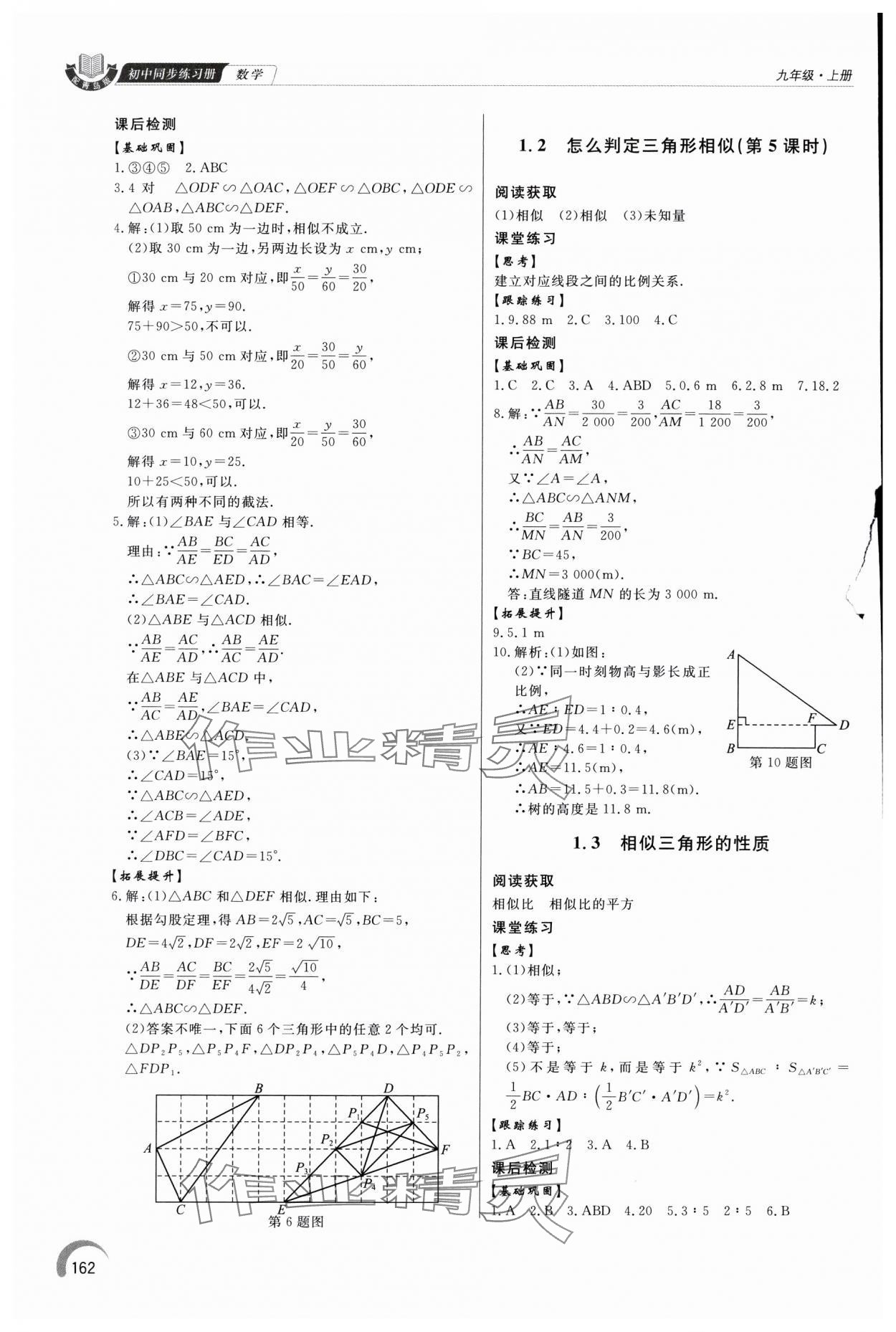 2024年同步练习册泰山出版社九年级数学上册青岛版 参考答案第3页