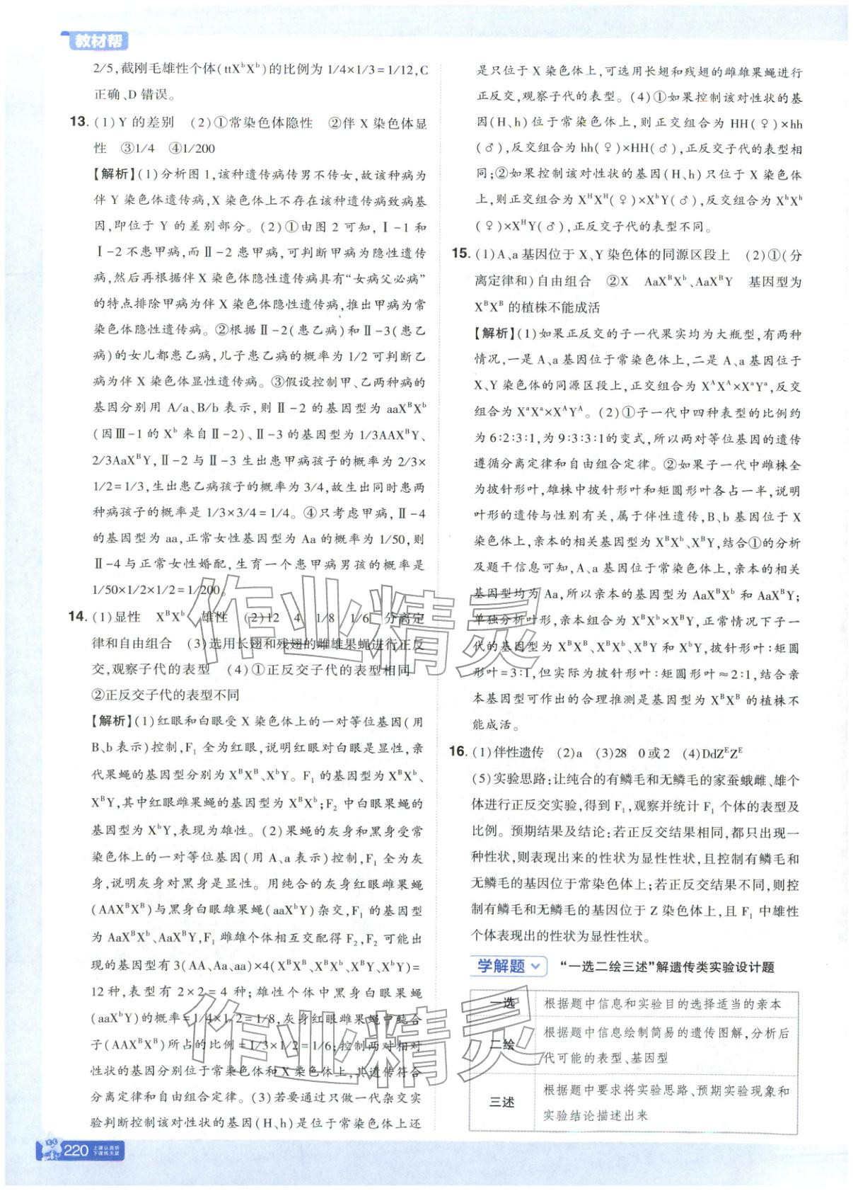 2026年教材幫高中生物必修第二冊蘇教版&nbsp;第13頁