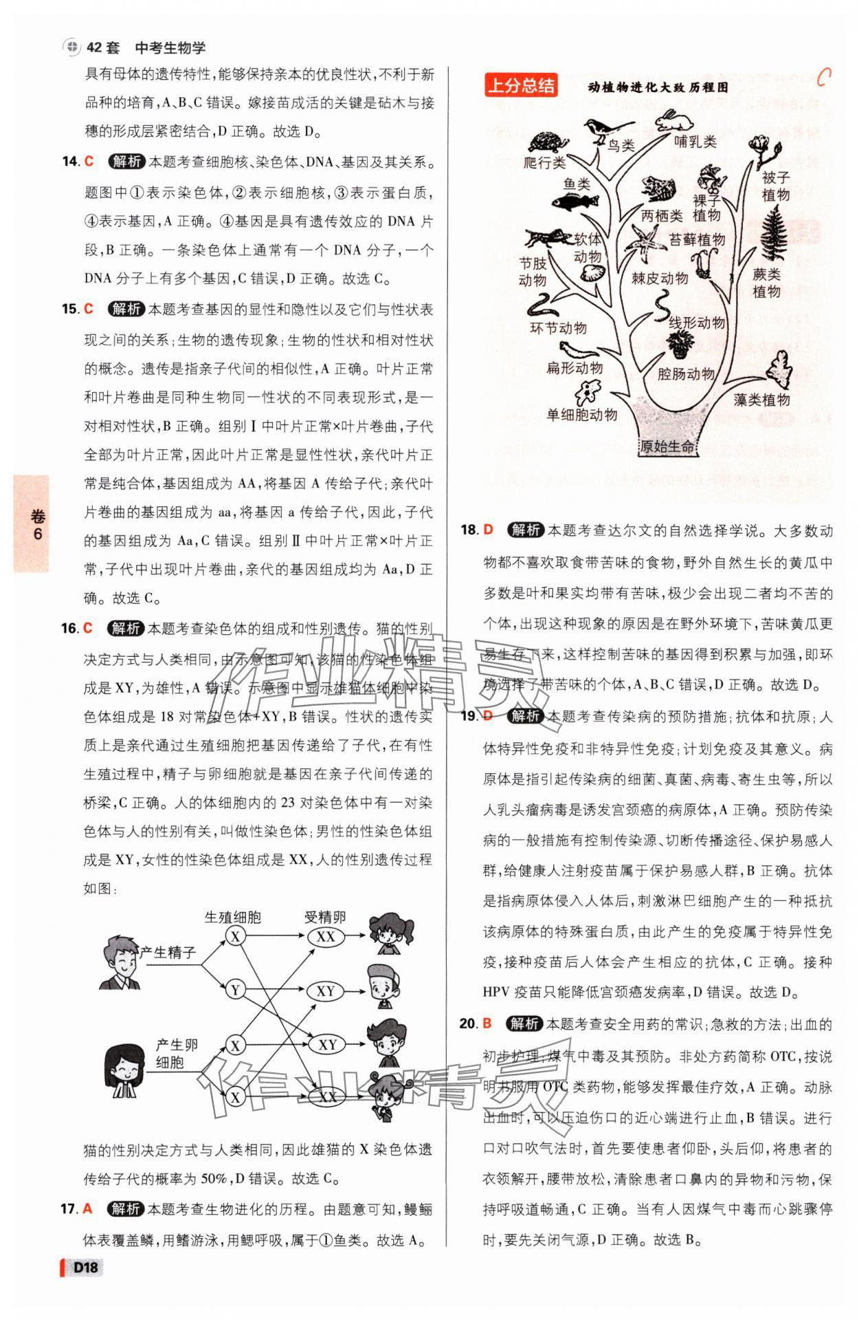 2025年中考必刷卷开明出版社生物河南专版&nbsp;参考答案第17页