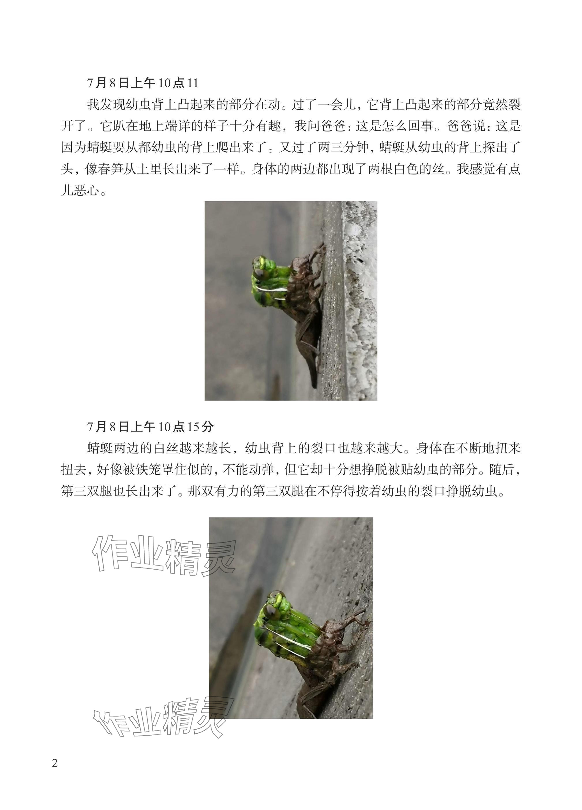 2024年小學(xué)單元素養(yǎng)作業(yè)三年級(jí)科學(xué)上冊(cè)教科版 參考答案第4頁